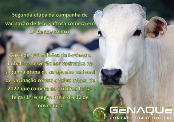 Em dez estados (AL, AM, CE, MA, PA, PB, PE, PI, RR e RN), a vacinação ocorrerá em animais de até 24 meses, conforme o calendário nacional de vacinação.
Para as 11 unidades da Federação (BA, ES, GO, MG, MS, MT, RJ, SE, SP, TO e DF), que compõem o Bloco IV do Plano Estratégico do Programa Nacional de Vigilância da Febre Aftosa (PE-PNEFA), a vacinação em novembro será para bovinos e bubalinos de todas as idades. Ao todo, esse bloco totaliza 141 milhões de animais a serem vacinados.