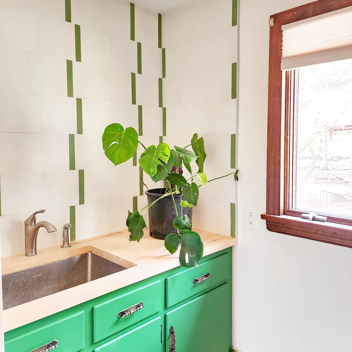 Palette inspired by our Monstera 🌱