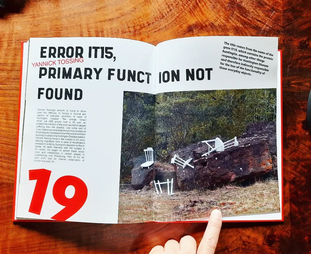 My artwork "Error IT15 , Primary function not found", in a new space/setting
Thanks to @lynntheisen for the photograph, the whole project, and the book!
#sculpture #photography #luxembourg #esch2022 #landscapes #Lëtzebuerg #art #artist