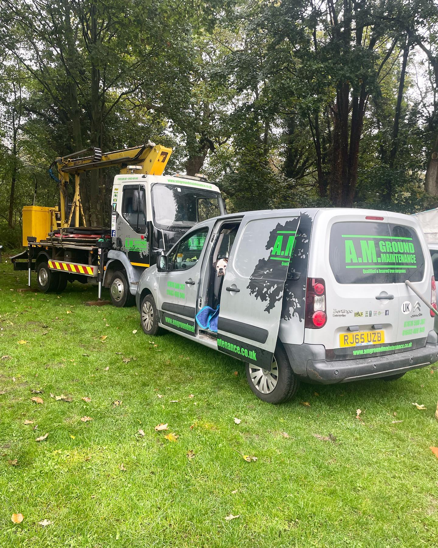 Another job completed last week ✅ 🐶 🐶 🌳🌳🪵🪵#amgroundmaintenance #norwich #norfolk #localbusiness #arborist #norfolkbusiness #norfolklife #norwichbusiness #norwichbloggers #edp24 #workdog