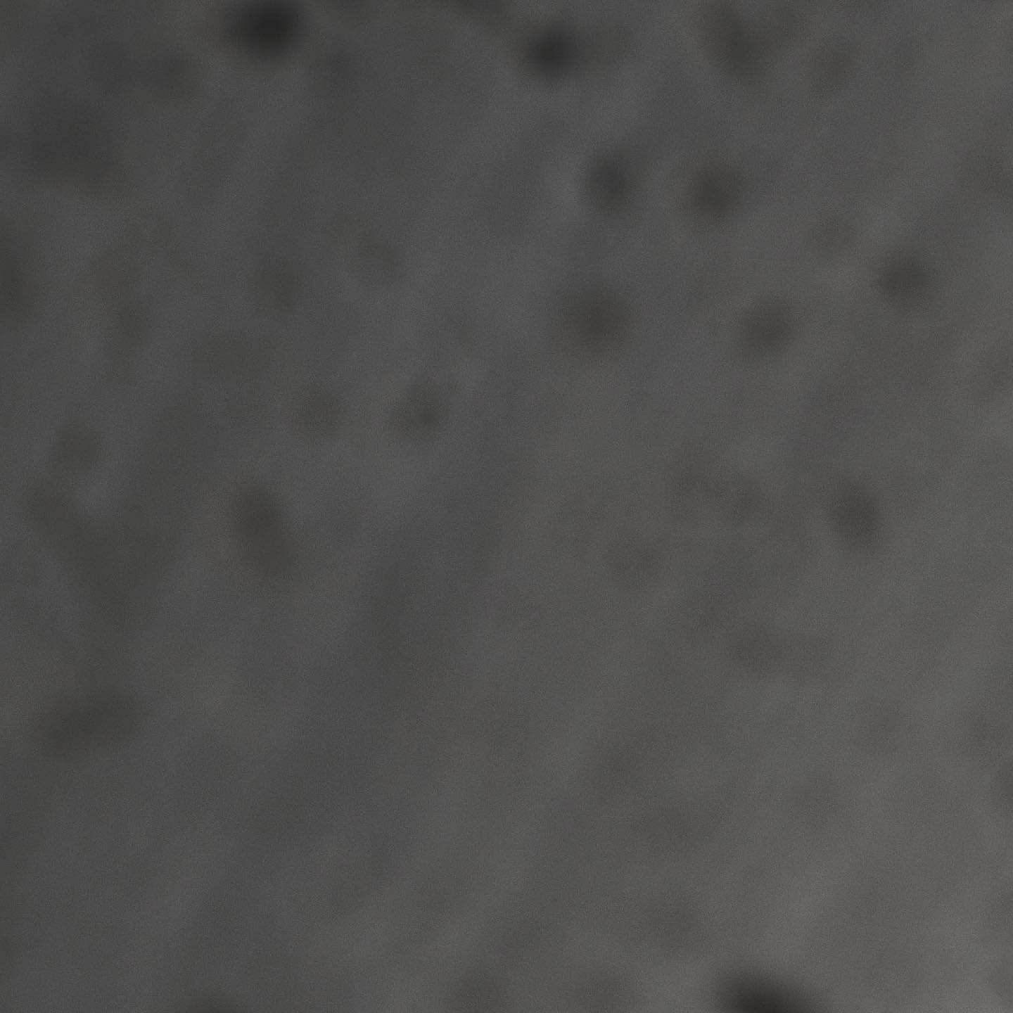 Simply divine.
Left: 1.5 carat round brilliant set in a timeless 6 prong platinum setting
Right: 2 carat round brilliant diamond set in a gorgeous platinum pave setting
#engagementring #engagementringhk #diamonds #diamondshk #naturaldiamonds #labgrowndiamonds #labgrowndiamondshk