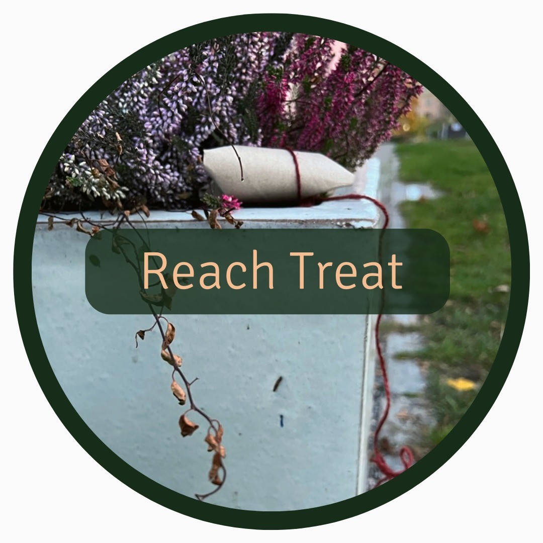 Letting your dog solve problems 🧩 increases your dog's confidence level and provides great mental stimulation!
👉 Just make sure you don’t make it too hard (you don’t want your dog to get frustrated) or too easy (it should still be a challenge). Help your dog if they get stuck.
Customize this exercise so it fits your dog.