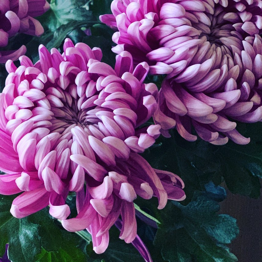 Thank you for trusting me with your health over all these years! Happy Friday Friends ❤️