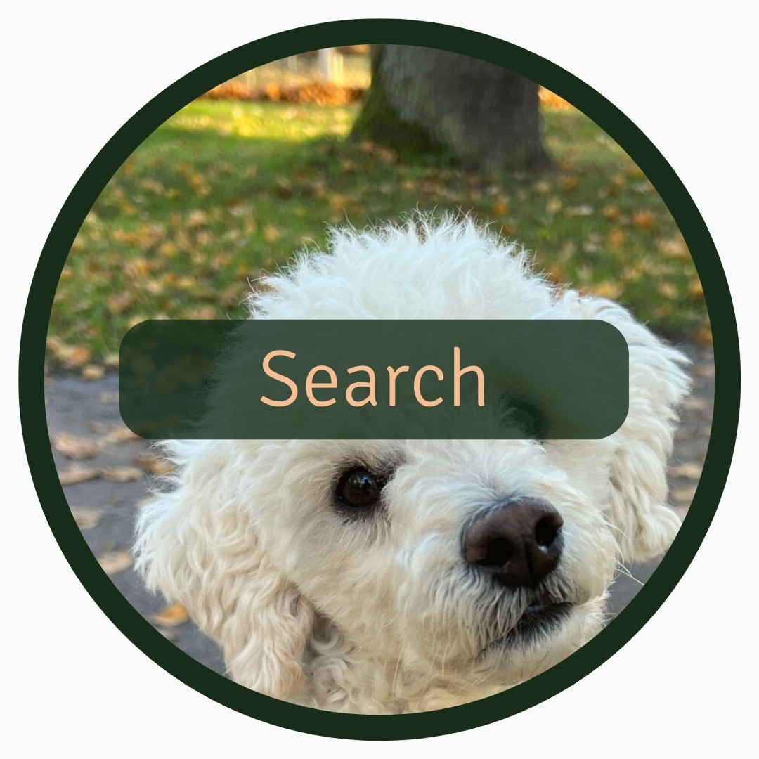 How to teach your dog to search for your dropped items 👃
There are quite a few step to teaching your dog this (search, take it, retrieve, drop it), but it might be very useful in the future if you ever loose your keys on a walk😉 Your dog will also get a lot of great mental activation during the learning process 😍 Make sure your start training in a familiar setting when your dog is in a calm state of mind. Think about teaching this in baby steps!
Here’s one way of teaching your dog how to SEARCH for an item:
1️⃣ Start with an item they like/are interested in, such as a fun toy
2️⃣ Show the item to the dog and let them sniff it
3️⃣ Ask the dog to stay/or ask someone to calmly hold the leash so the dog can’t follow you
4️⃣ Hide the item in plain sight but a few meters away from the dog
5️⃣ Say a signal like ”search”, and let the dog go to the item
6️⃣ Praise and reward the dog when they find it
7️⃣ Start hiding the item in more difficult places and start using other items etc until the dog knows that “search” means to put their brilliant nose at work!
Here’s one way of teaching your dog how to TAKE IT, RETRIEVE and DROP an item:
1️⃣ Start with an easy item, like an empty toilet roll
2️⃣ When your dog touches the item, use your reward signal (such as a clicker or short signal like ”yes”) and reward
3️⃣ Increase your dog’s required interaction (baby steps) with the toilet roll to get the reward
4️⃣ When your dog picks it up and holds it in their mouth, reward and give a lot of praise
5️⃣ When you’ve shaped the behaviour, add a signal WHEN the dog is picking up the item - then just BEFORE the dog picks it up
6️⃣ Place the item further away from you, wait for the dog to pick it up and encourage your dog to come to you, use your reward signal and reward
7️⃣ When you’ve shaped the behaviour, add a signal WHEN the dog is retrieving the roll - then just BEFORE the dog is retrieving the roll
8️⃣ When your dog can retrieve the roll, exchange it for a reward and add a signal when the dog drops the roll
⚠️ Prevent injuries by choosing a suitable & safe item. If there is ANY risk of you dog swallowing or biting the item, choose another item!