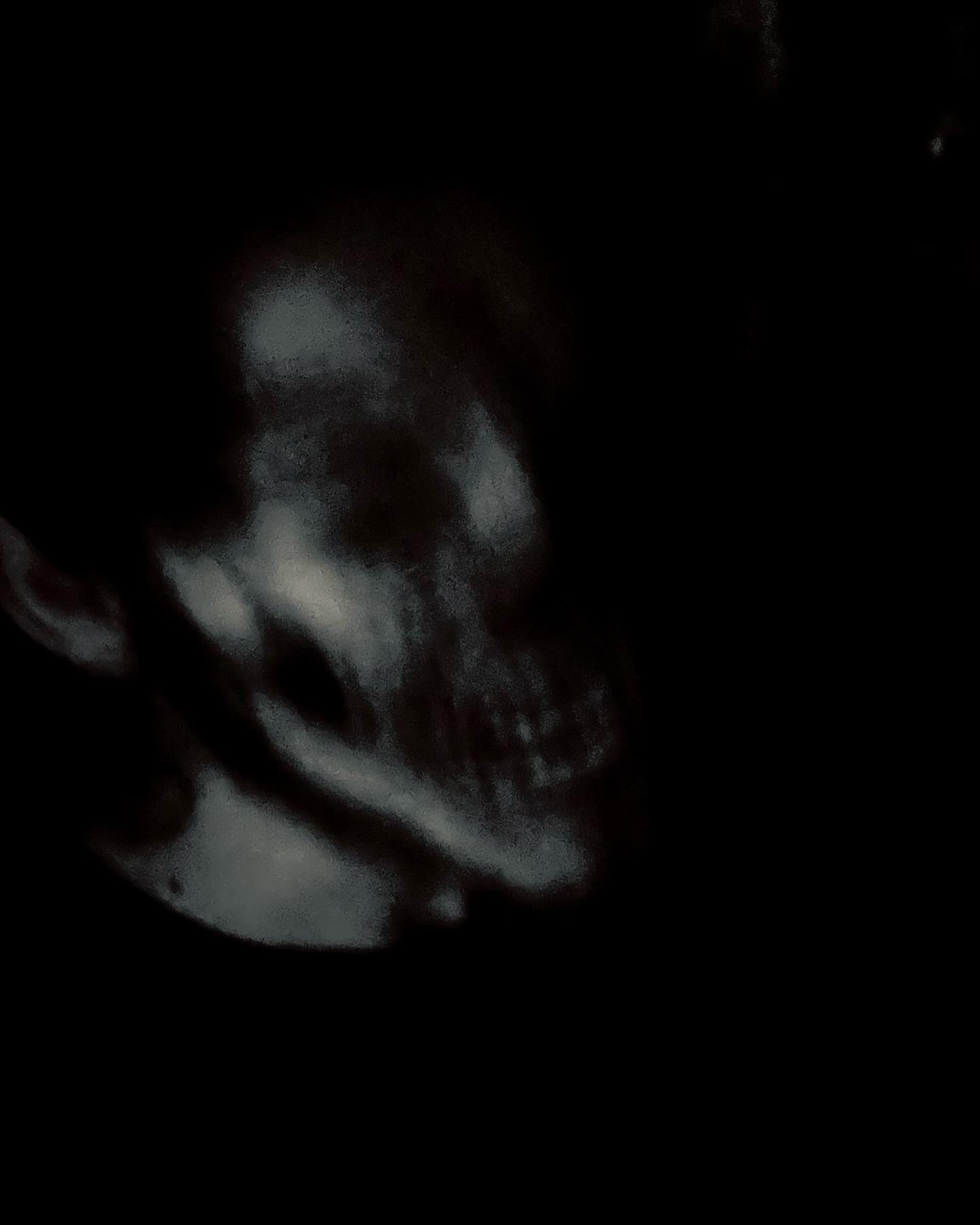 💀
.
.
.
𝓢𝓞𝓜𝓔 𝓒𝓛𝓐𝓟𝓟𝓔𝓓 𝓗𝓐𝓛𝓛𝓞𝓦𝓔𝓔𝓝 𝓢𝓔𝓛𝓕𝓘𝓔𝓢 𝓒𝓤𝓢 𝓦𝓗𝓨 𝓝𝓞𝓣.
I love my blurry ass camera.