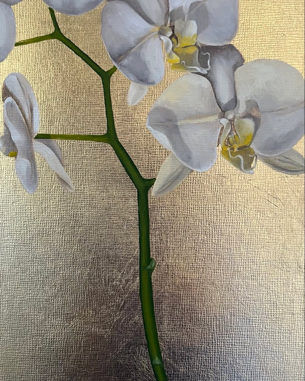 A little peek into new work for the Open Studio on Saturday. All welcome. Link in bio #grangeopen studios #edinburghartists #flowers #stilllife #rachelbrowwnabstractartist