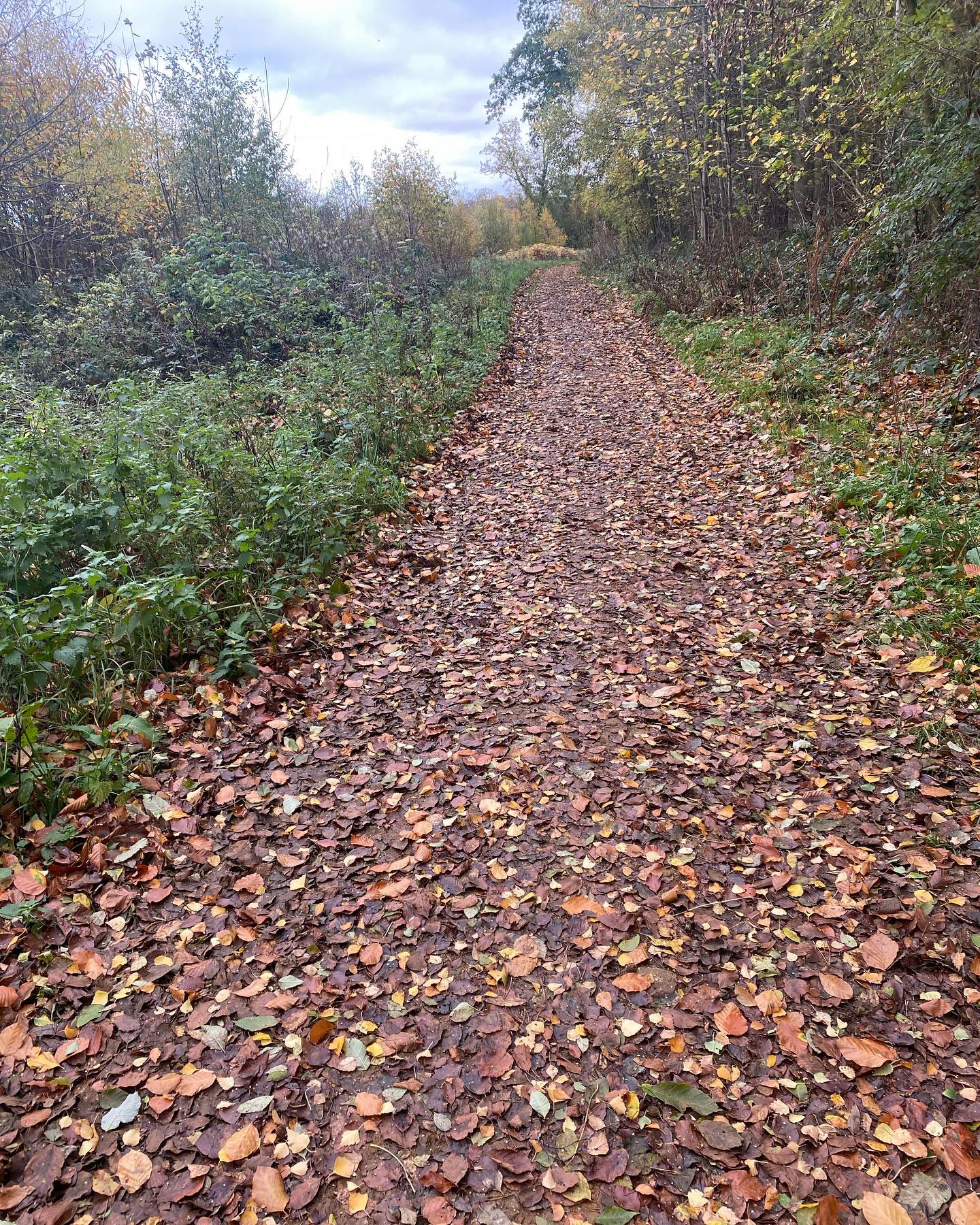 Get outside and get moving! Autumn is such a beautiful time of year to get outdoors and your body needs Vitamin D even more when the days are shorter….even if just for 10 minutes a day - make time for it, as it’s important for your health. 🍁 ☀️ 🥾