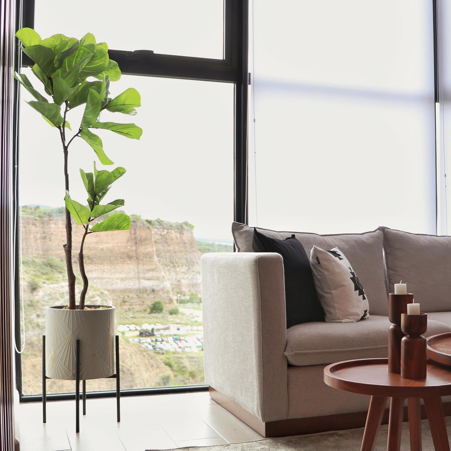 Decora con esta hermosa planta Lira, perfecta para cualquier espacio y haz el conjunto Perfecto con la maceta Florencia. Envíos a todo México 📦🚚
.
.
.
.
#maceta #platas #decora #decoracioninteriores #interiordesign #interiorismomx #platasdecorativas #lira #plantaartificial #macetametal #macetaconbase #homedecor #hogar #lovemyhome #diseño