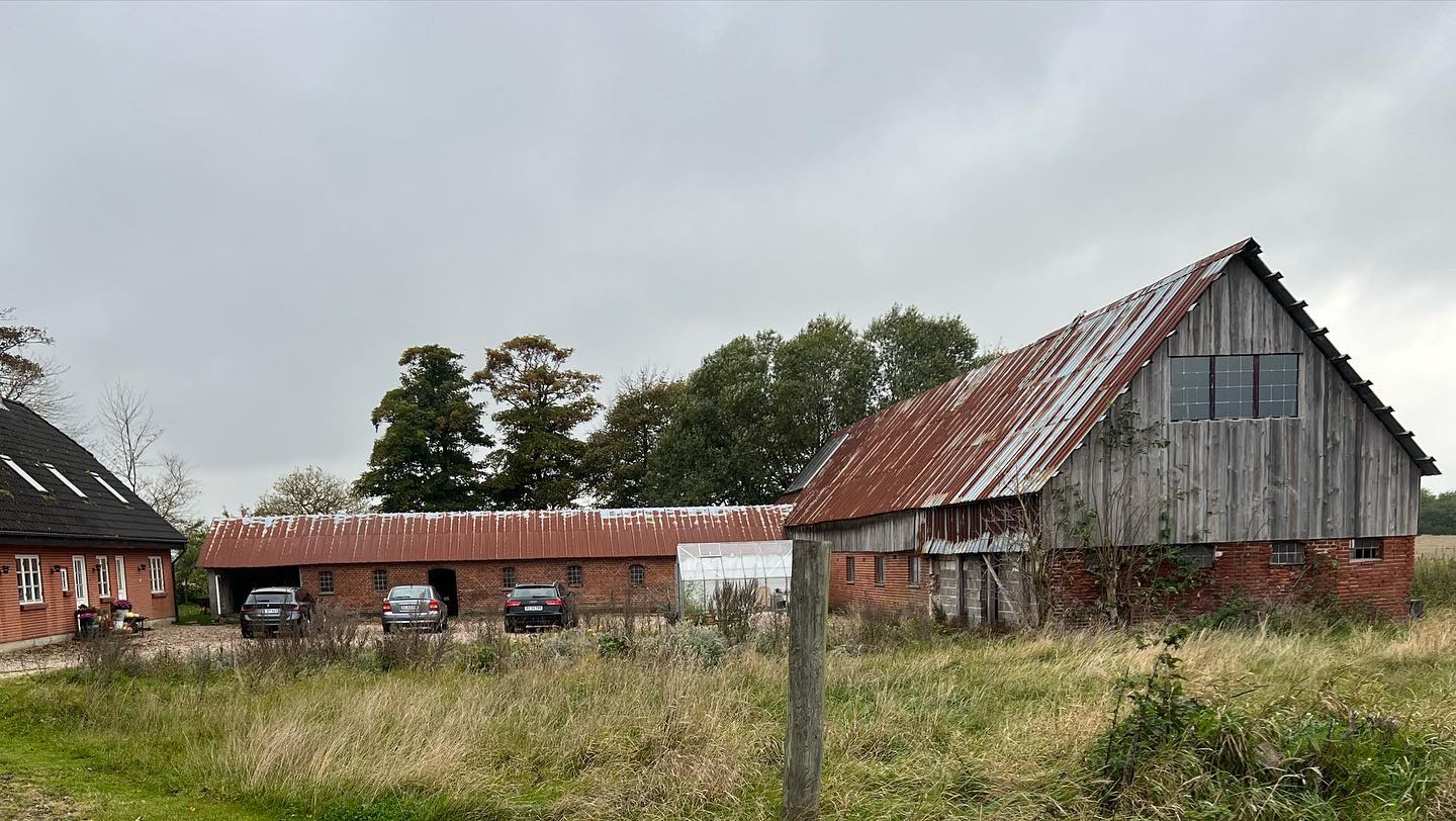 Transformation af @damagergaard 🥰📸
#danskeboligarkitekter #danskarkitektur #arkitekttegnet #nordiskehjem #skandinaviskehjem #boliginspiration #boligindretning #residentialarchitecture #danisharchitecture #architecturelovers #nybyggeri #nybyg #nybygger #nythus #byggegrund #træ #træhus #haveliv #have #haveinspiration #haven #plants #deck #rendering #renderings #påtegnebrættet #drawingboard