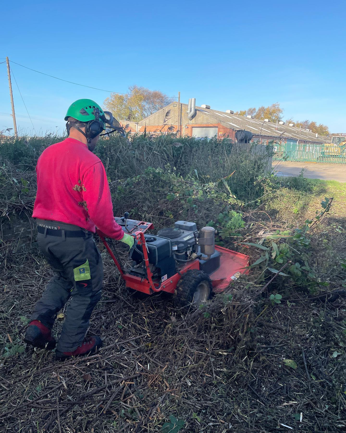 A small clearance job we completed last week. This was completed so the ground could be inspected. 🌳🌳 #amgroundmaintenance #norfolk #groundclearance #norfolkbusiness #hadiscoe