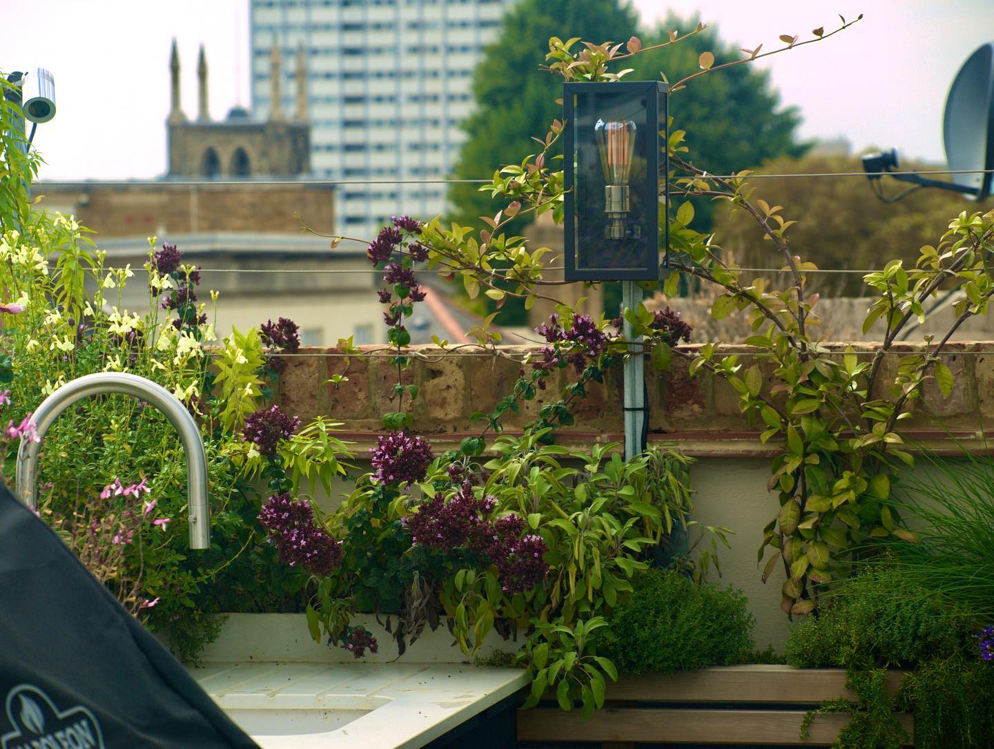 A new roof terrace planting scheme with @marthareadarchitects #tuliplandscapes #rooftop #citygardening #biodiversity #insects #flowers #roofgarden #gardendesignideas #englishgardendesign #englishgardens