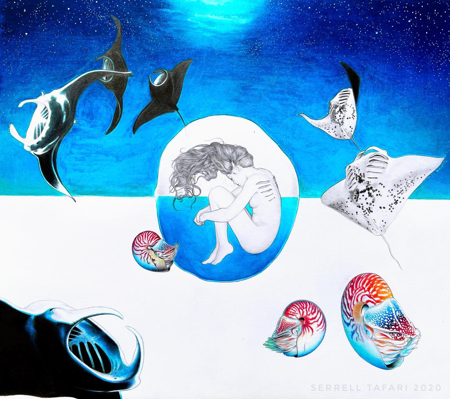 SERENE
ꜱᴇᴀ, ᴡᴏᴍʙ ᴏꜰ ᴀʟʟ ʟɪꜰᴇ.
(っ◔◡◔)っᶠᴵᴺᴬᴸ ᴳᶜˢᴱ ᴾᴵᴱᶜᴱ ᵀᴴᴬᵀ ᴺᴱⱽᴱᴿ ᴳᴼᵀ ᴹᴬᴿᴷᴱᴰ ᴸᴼᴸ
#art #artwork #illustration #watercolor #sketching #coloredpencil #sea #aquaticlife #spiritualart #gcseart