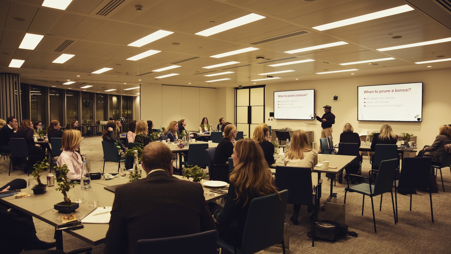 The end of a long long day
#bonsai #bonsaitree #bonsatrees #bonsaiworkshops #makebonsai #ma-kebonsai #permabonsai #corporatebonsai