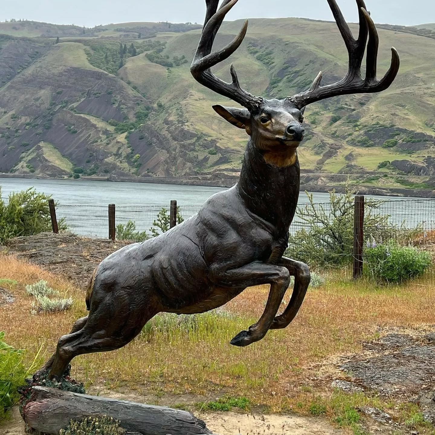 Anyone out there know where I can buy that bad ass raging stag for my garden?
Bring it on home to the Elk Man!