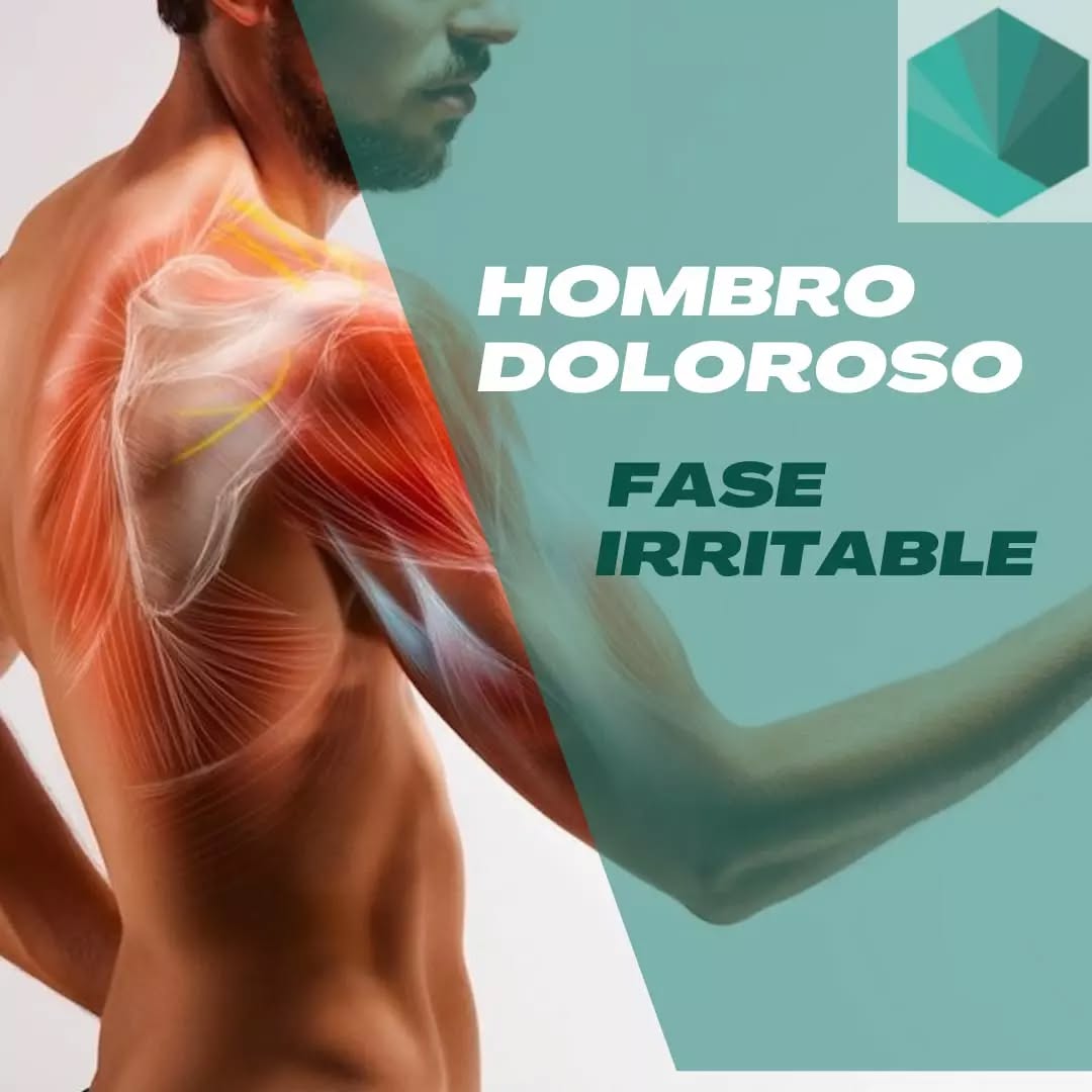 🏋🏻♀️¡EJERCICIOS PARA HOMBRO DOLOROSO!
En este post os queremos mostrar diferentes ejemplos de ejercicios para el tratamiento del hombro doloroso.
🤕En este caso estos ejercicios están enfocados al dolor de hombro relacionado con un maguito rotador irritable. Esta condición se produce por exceso de carga o por traumatismo sobre el hombro presentando dolor al separar el brazo del cuerpo o al realizar rotación externa.
🎯El objetivo de estos estos ejercicios es trabajar la función y la disminución de dolor en las primeras fases del tratamiento.
💪🏼Los ejercicios isométricos (2 y 3) se basan en la activación, sin dolor, de la musculatura. Se debe realizar de 3 a 5 veces, durante 30-45 segundos con descansos de 2 minutos.
🤸El resto de ejercicios (4, 5 y 6) trabajan la movilidad y la estabilidad de la articulación, su función es mover el brazo sin dolor ya que en esas posiciones no suponen exigencia para el manguito rotador. El número de veces a realizar dependerá del tolerancia pudiendo hacer entre 3-5 series de 8 -10 repeticiones.
❌En caso de duda o dolor evitar realizarlos y acudir a un especialista.
💚¡Esperemos que os sirvan de ayuda! Os esperamos en Valtem fisioterapia.