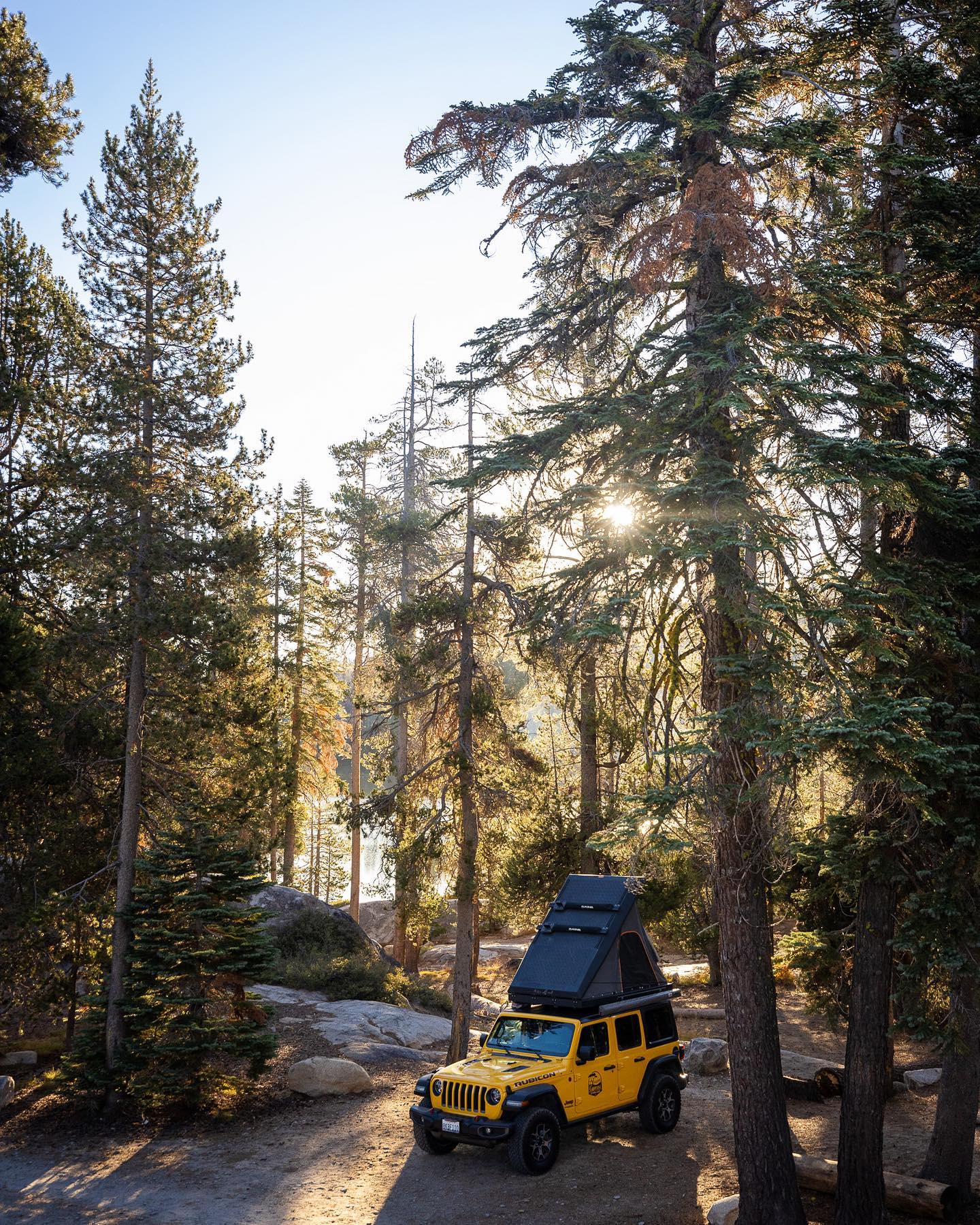 Nature is calling.
Amazing shot by @benedicte_lassalle