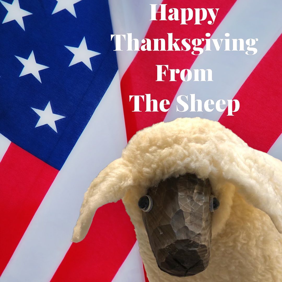 Wishing all our State’s side family, friends and Sheep owners a very happy #thanksgiving 🇮🇪🇺🇸🐑
