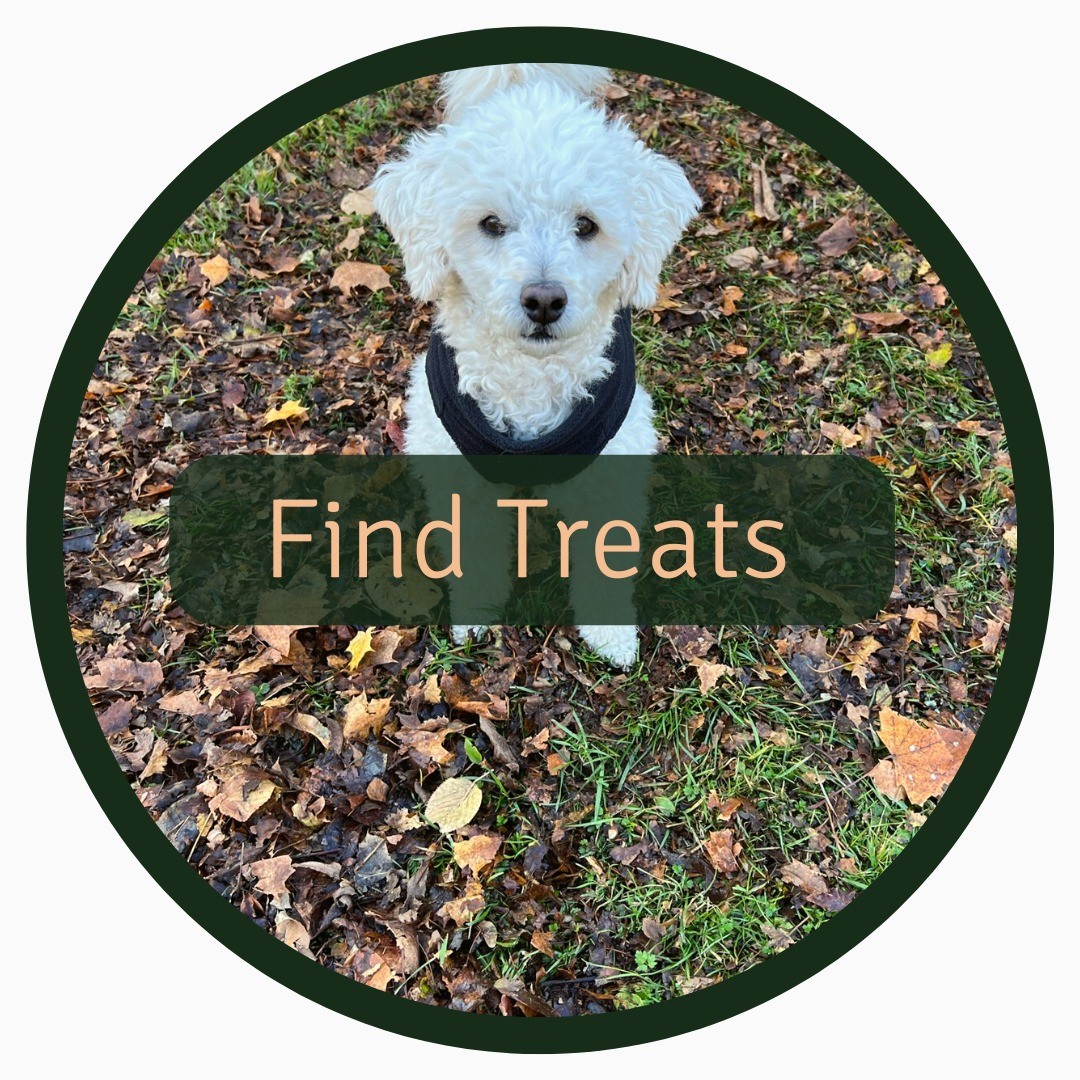 Let your dog use their brilliant nose by having them search for treats when out on a walk 🐾
You can also bring their regular food with you on your walks and have them search for it! It is one of the simplest ways to provide enrichment for your dog 😍
Don't forget to increase the difficulty as your dog gets better at finding the treats 😉