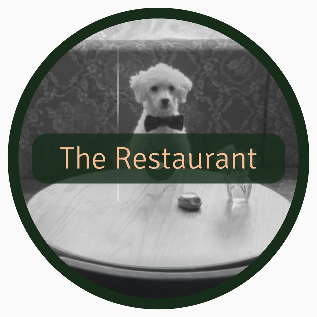 Want to activate your dog and get a fun video out of it? 🎬🐩
To make this video possible we needed to first learn 3 new tricks 👉 " Wave”, “Lick nose ” and “Paw on table” (he already knew “Stay”, Jump up", "Jump down", "Wait", "Go ahead" and “Come here”).
Below is one way to teach one of the tricks👇
Wave 👋
1️⃣ Get some treats and have the dog sit in front of you
2️⃣ Close your fist around the treat and hold it in front of the dog, close to their paw
3️⃣ At any form of movement that dog does with their paw to try and get the treat, say your reward signal (such as “yes”, “good” or use clicker) and reward
4️⃣ Start saying the reward signal and rewarding when the dog starts to pick up their paw, but before it touches your hand
5️⃣ Remove the treat from your fist and reward from the other hand every time the dog lifts their paw
6️⃣ When the dog understands what the "game" is about, wait with the reward until the dog lifts their paw a little more
7️⃣ In small steps, increase the requirement for how much the dog has to move their paw before they get rewarded
8️⃣ Add a verbal signal/hand signal when the dog is waiving
9️⃣ Practice until you can just say the signal
Big thanks to @petgood.global for the yummy treats 🍬! #ad
⚠️ As usual safety and the wellbeing of the dog was the highest priority when filmning this.