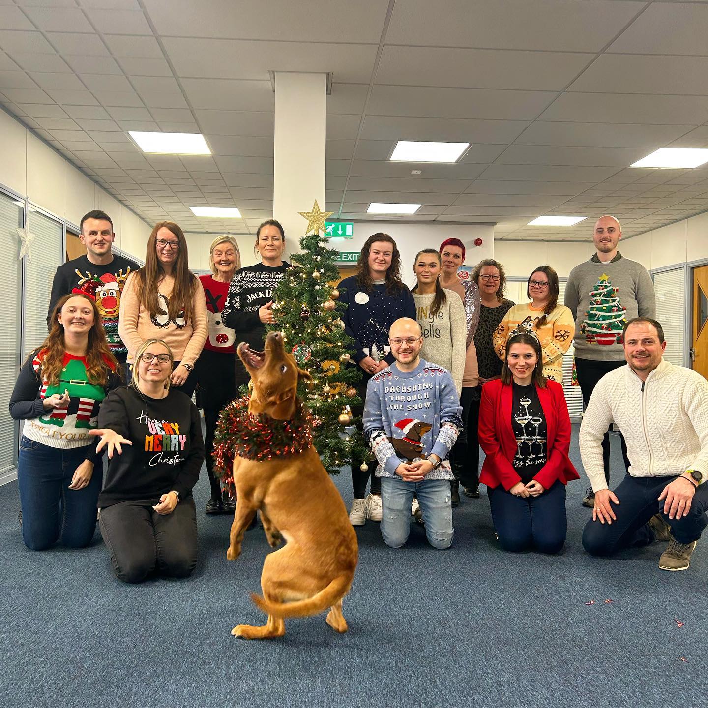 Happy National Christmas Jumper Day from the Rose Marketing UK HQ team! 🎄
#headquarters #nationalchristmasjumperday #christmasjumperday #wholesaler #kidsconfectionery #confectionery #icepops #seasonalconfectionery #christmas2022 #team