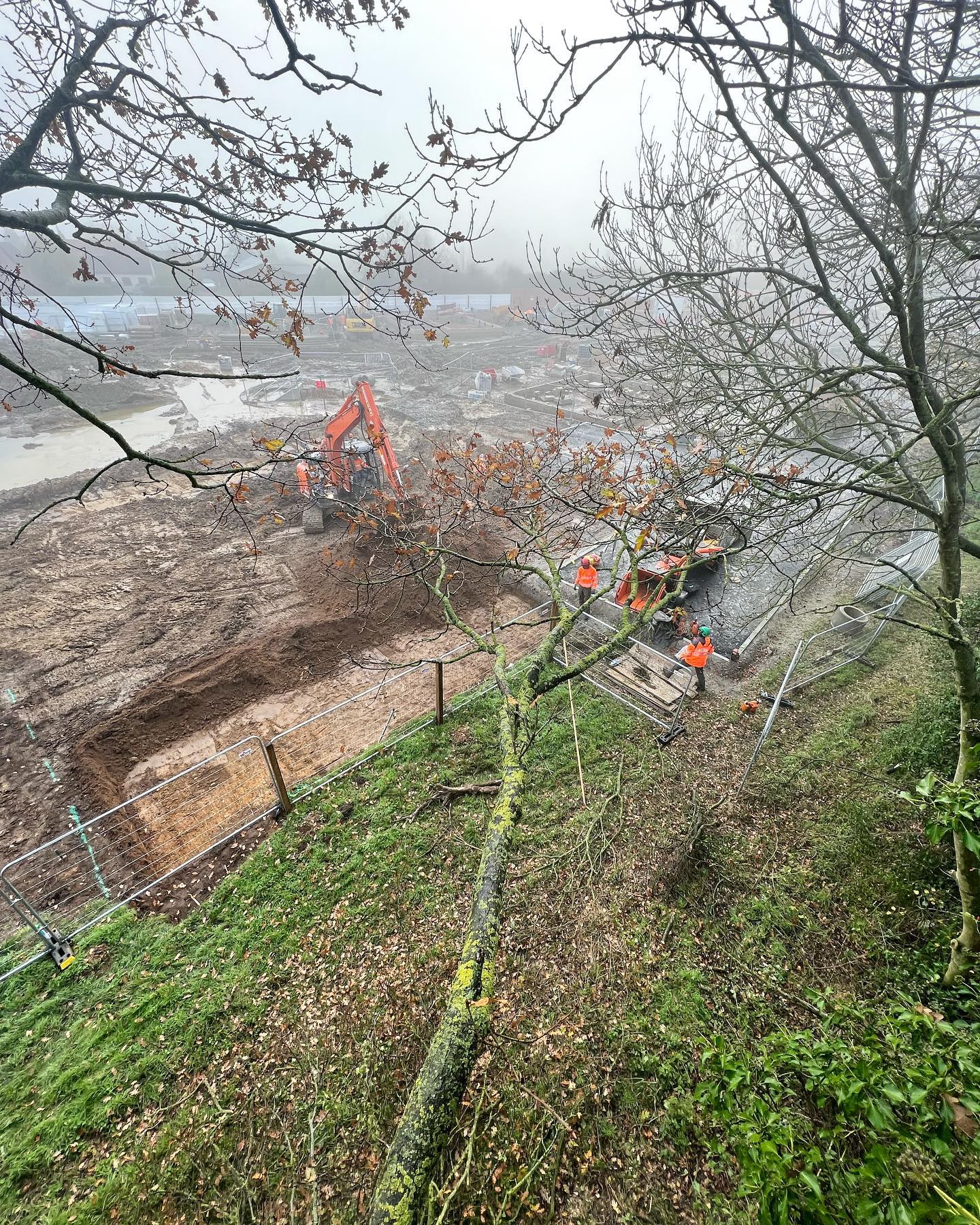 Another job completed for Lovell Construction. Crown raising and removing trees ready for a new cycle path. 🥶🌳👷🏼♂️ #amgroundmaintenance #norfolk #construction #norfolkbusiness #edp24 #arboriculture #arb #norfolkbloggers