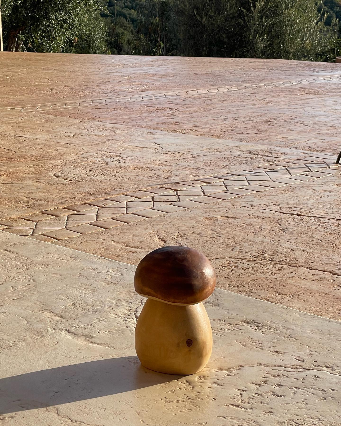 Un champignon s’est invité sur notre nouvelle terrasse. Un grand merci à Hugo et toute son équipe pour ce magnifique travail de professionnel et pour leur gentillesse. @hugo_pereira66 #terrasse #decorationexterieur #betoncolore #pyreneesorientales