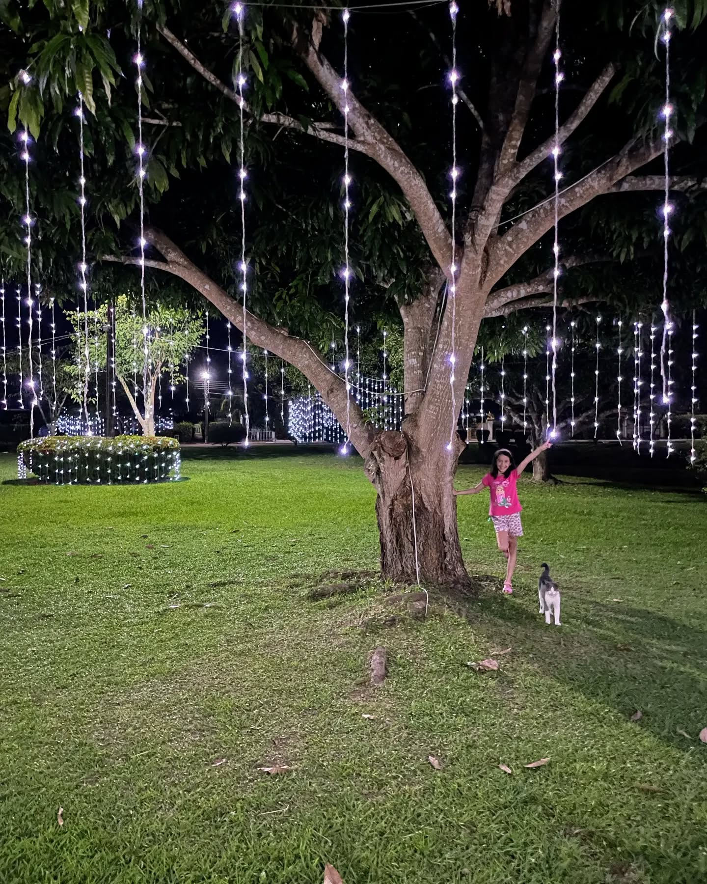 🥳Ven a pasar estas festividades de fin de año en Casa Muner Melgar.
🎅Tenemos excelentes precios, aparte, estamos estrenando zona bbq y zonas de parqueo.
👉 Somos la Casa quinta con piscina para alquilar en Melgar que estas buscando, somos Casa Muner.
💲Conoce nuestras tarifas en www.casa.muner.com.co
.
#melgar #muner #casamuner #colombia #casaconpiscina