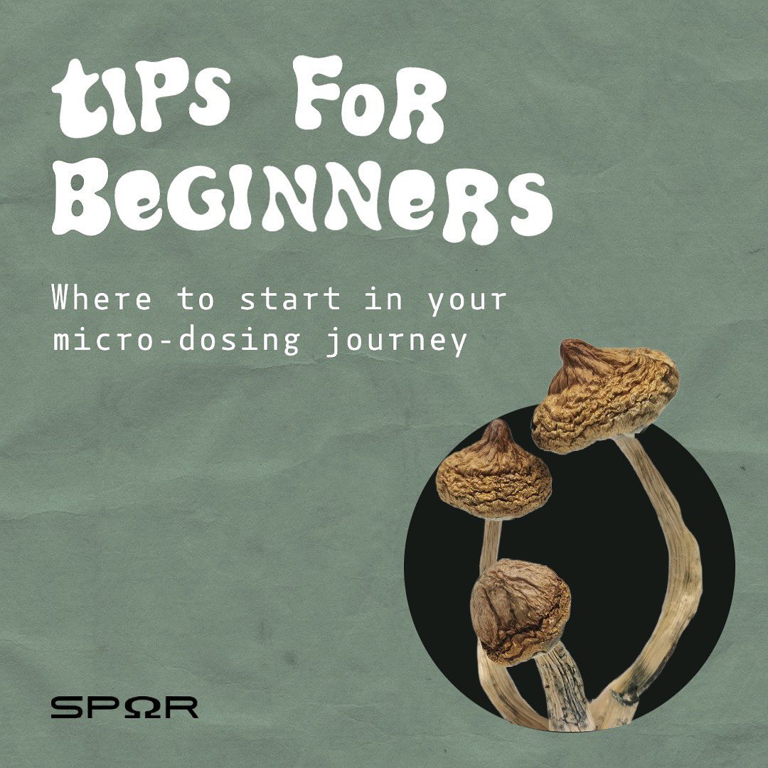 Feeling stuck and need a boost? Micro-dosing might be the answer! Check out these tips for getting started on your micro-dosing journey 🌱
#anxietyrelief #mindfulness #wellness
