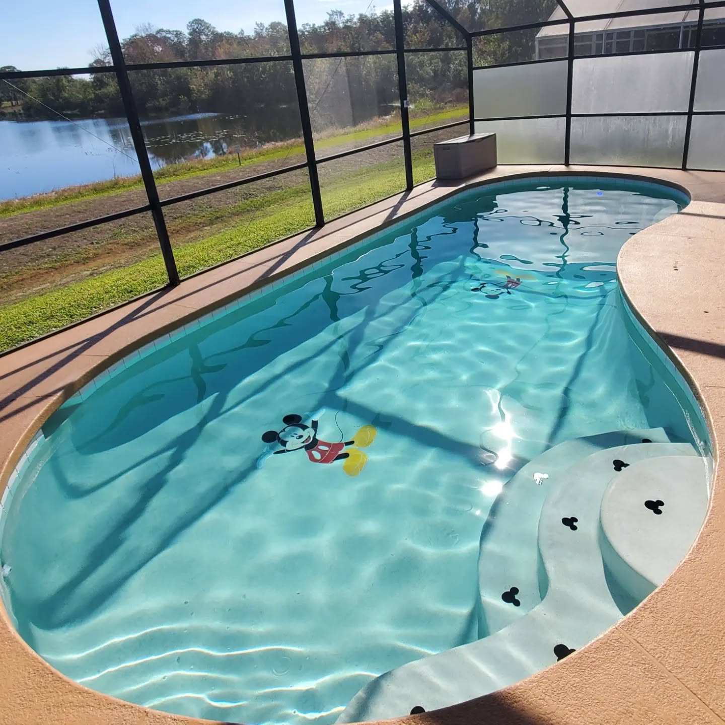 Mickey makes a cameo in this pool with a salt and pepper resurface. #mickeymouse