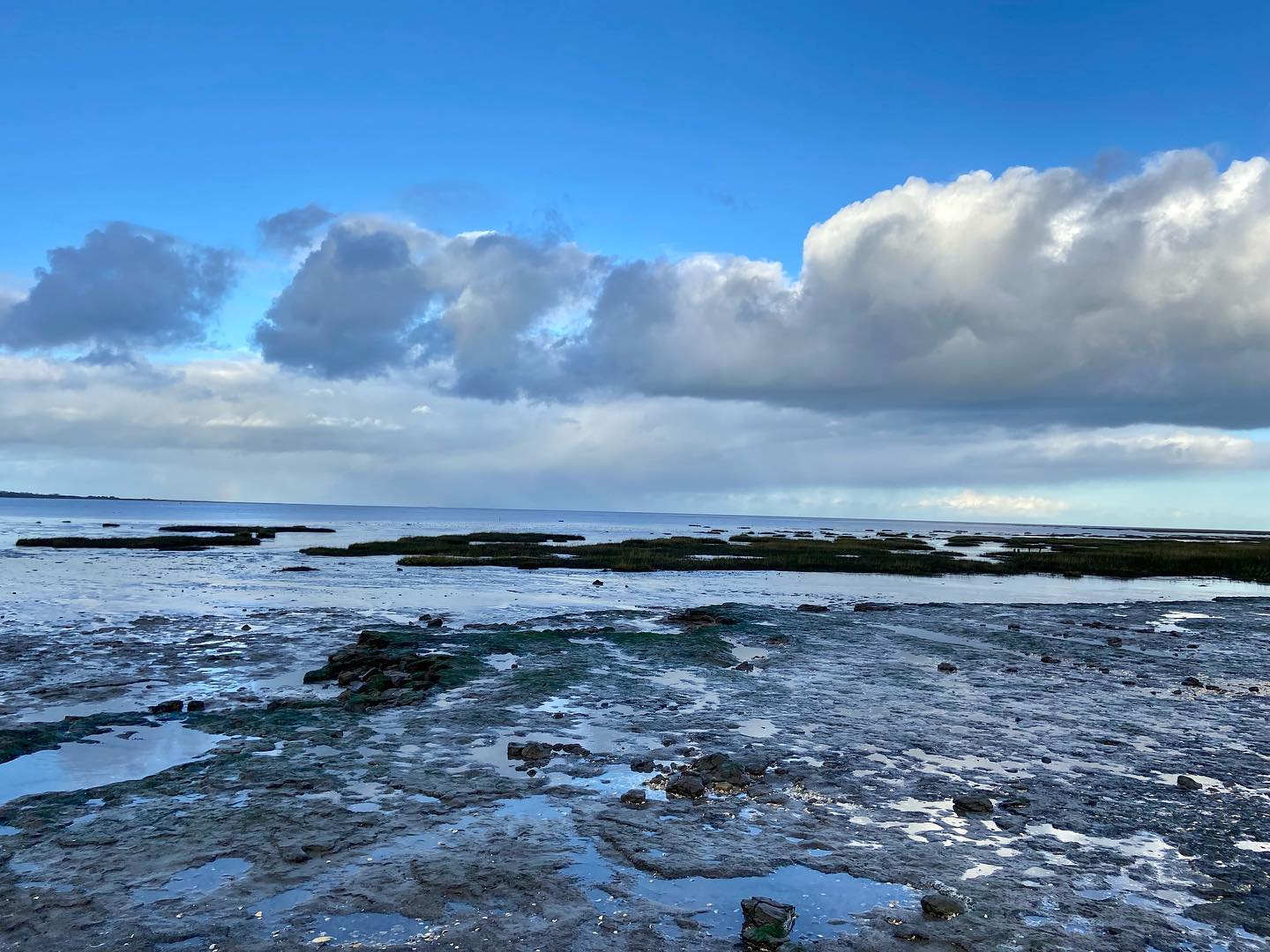 Beauté du cotentin 🥰