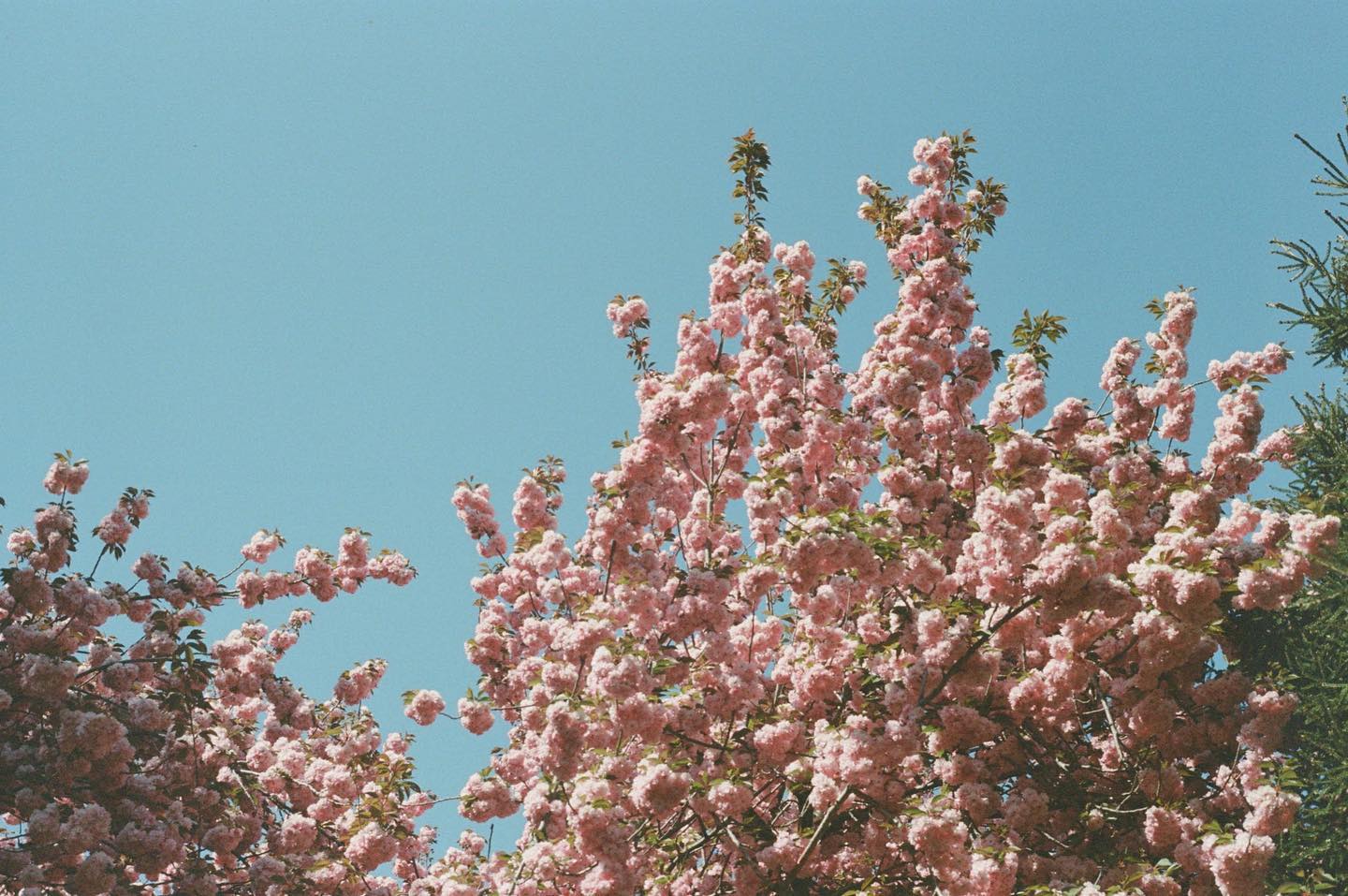 2022 in film, horizontal