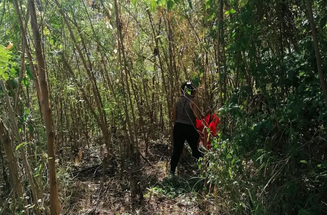 Desliza para ver nuevos horizontes ➡️
01.01.2023
Nuevo año
Nuevos caminos
Nuevos proyectos
...
Un paraíso para quienes compartirán momentos en este lugar, una hoja en blanco para hacer realidad sueños.
#Barahona #BuenVivir #republicadominicana #arquitectura #hospitality #design #cabin #beach #enjoyBarahona