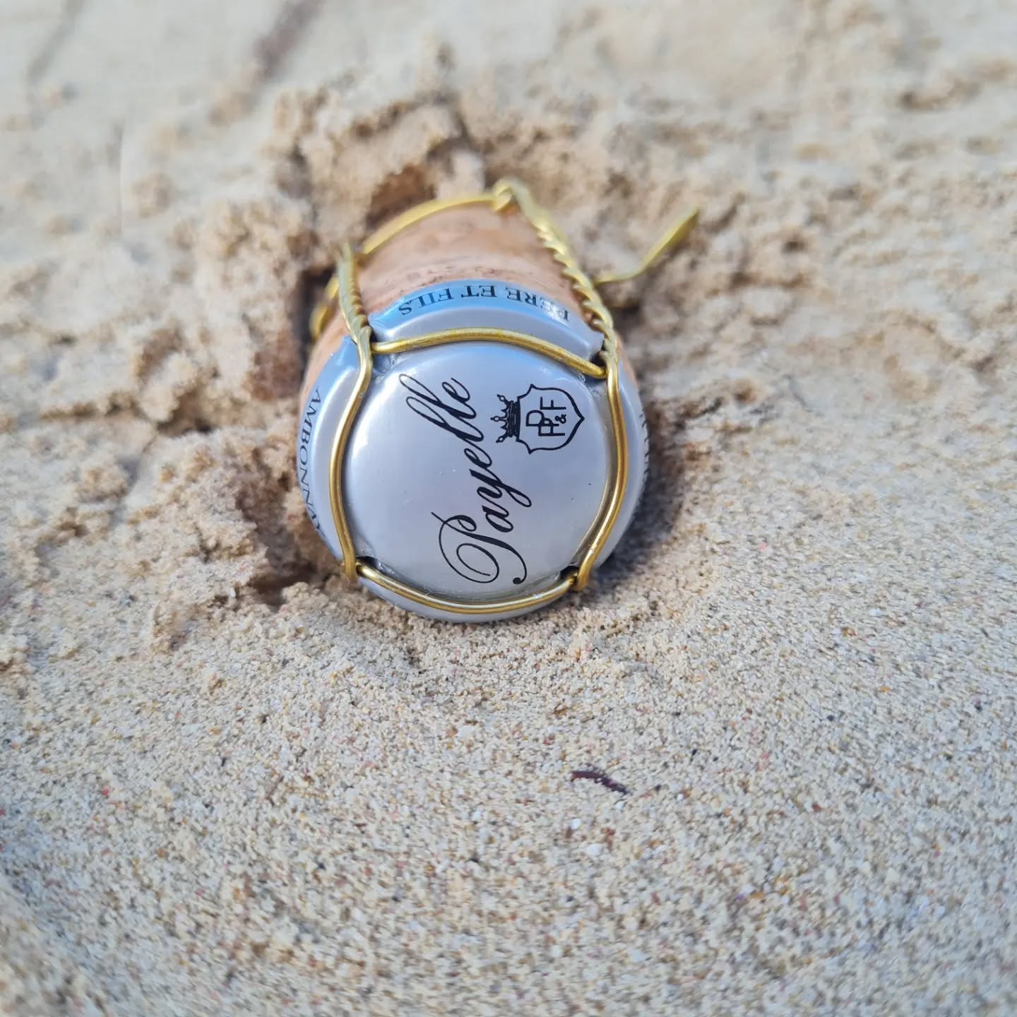 La famille Payelle vous souhaite une belle soirée et une heureuse année 2023 🥂