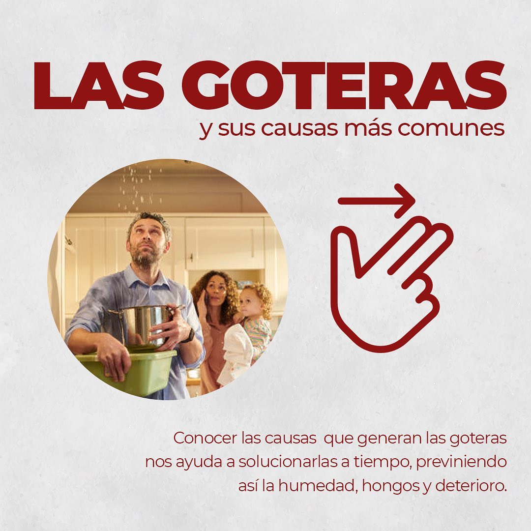3 causas por las que se generan las goteras 👉🏼
1. Acumulación de agua en los techos
2. Falta de mantenimiento
3. Antigüedad
Recuerda realizar un mantenimiento periódicamente y prevenir humedad, hongos y deterioro.
¡Contáctanos! 📲3112152995
📲3232331107
#aseoylimpieza #empresas #oficina #propiedadhorizontal
#lavadodetechos