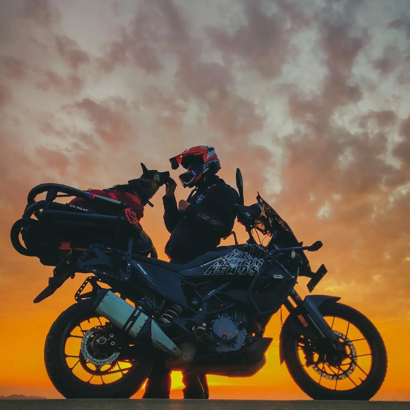 If you've ever been lonely, depressed, or in a place where you questioned why you're even alive, you probably didn't have a dog.
I thankfully got #Raazdaar in my life at that precise moment and with a wag of her tail, she's transformed my life into a much more positive space, one which I look forward to every day.
This is a bond that's closest to my heart 😍
Thank you @wizard_of_prose
for some amazing shots of us
#germanshepherd #dogsonbikes #dogsofinstagram #thebestpeoplearound #bikersforgood #bfgsquad #advtribe #travelpartner #love #innocence #worthit #bikersofinstagram #bikersofindia #wildwildmotorheads #wildornothing