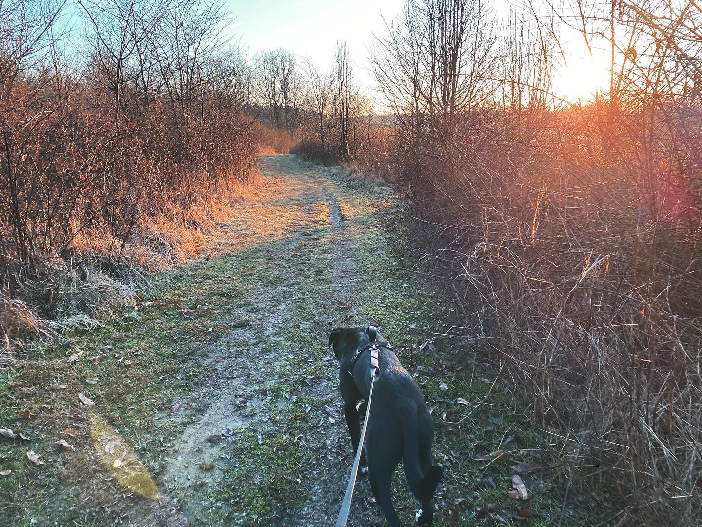 The first of many early morning adventures 🐾