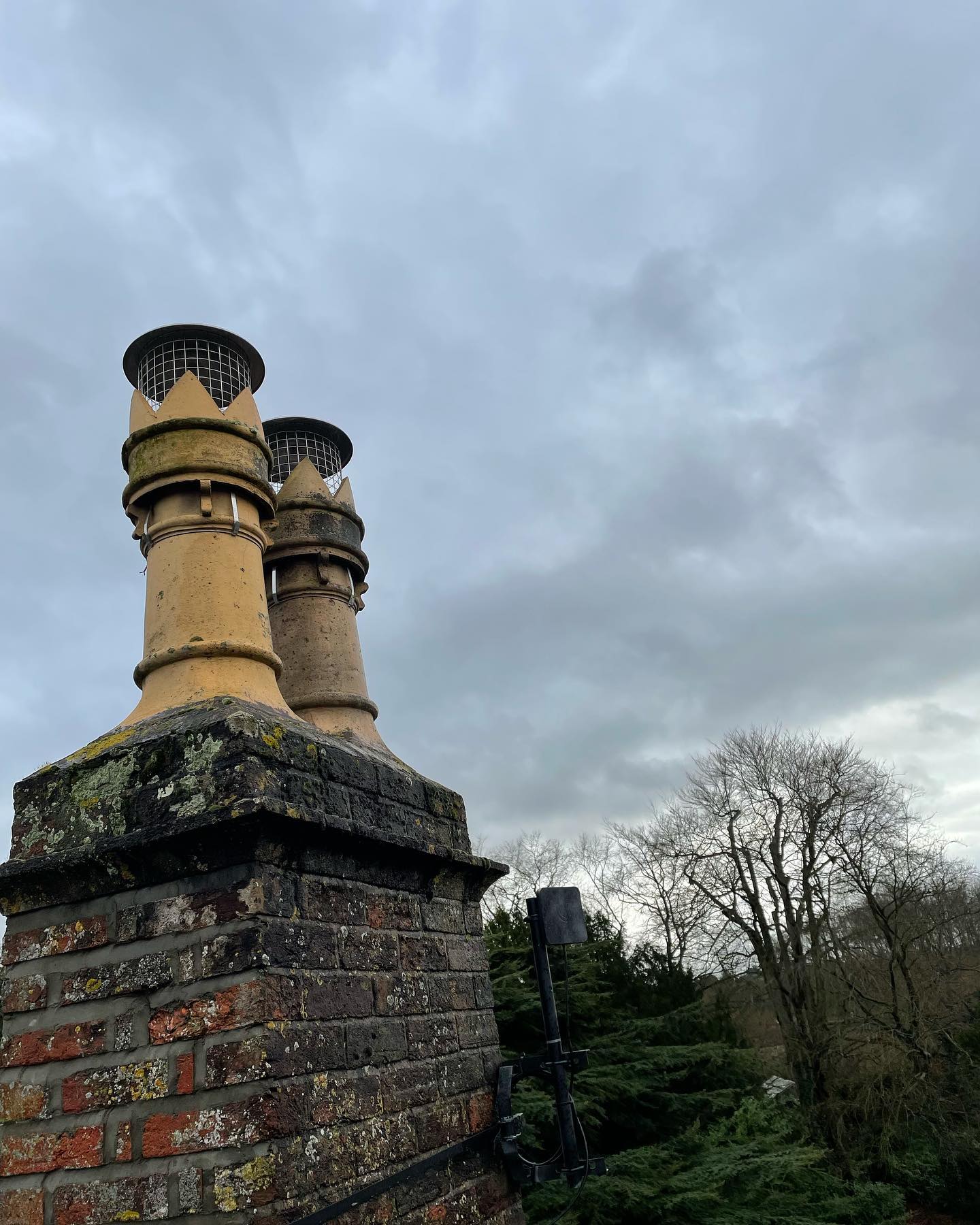 Stainless steel bird guards fitted between the rain ☔️