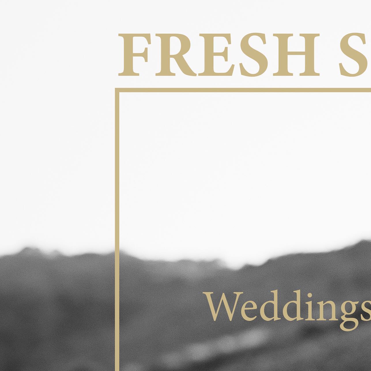 🌿 Nouveau départ, nouveau site web, nouvelles rencontres. 🌱
Venez découvrir mes nouveaux shootings sur emmanoam.com et n’hésitez pas à me contacter pour photographier chacune de vos aventures : photographie de plateau (TV, théâtre, cinéma), reportages professionnels, mariage, portraits, naissances, famille !
Dans la région lyonnaise, ou dans toute la France, je vous suis ! 🍃