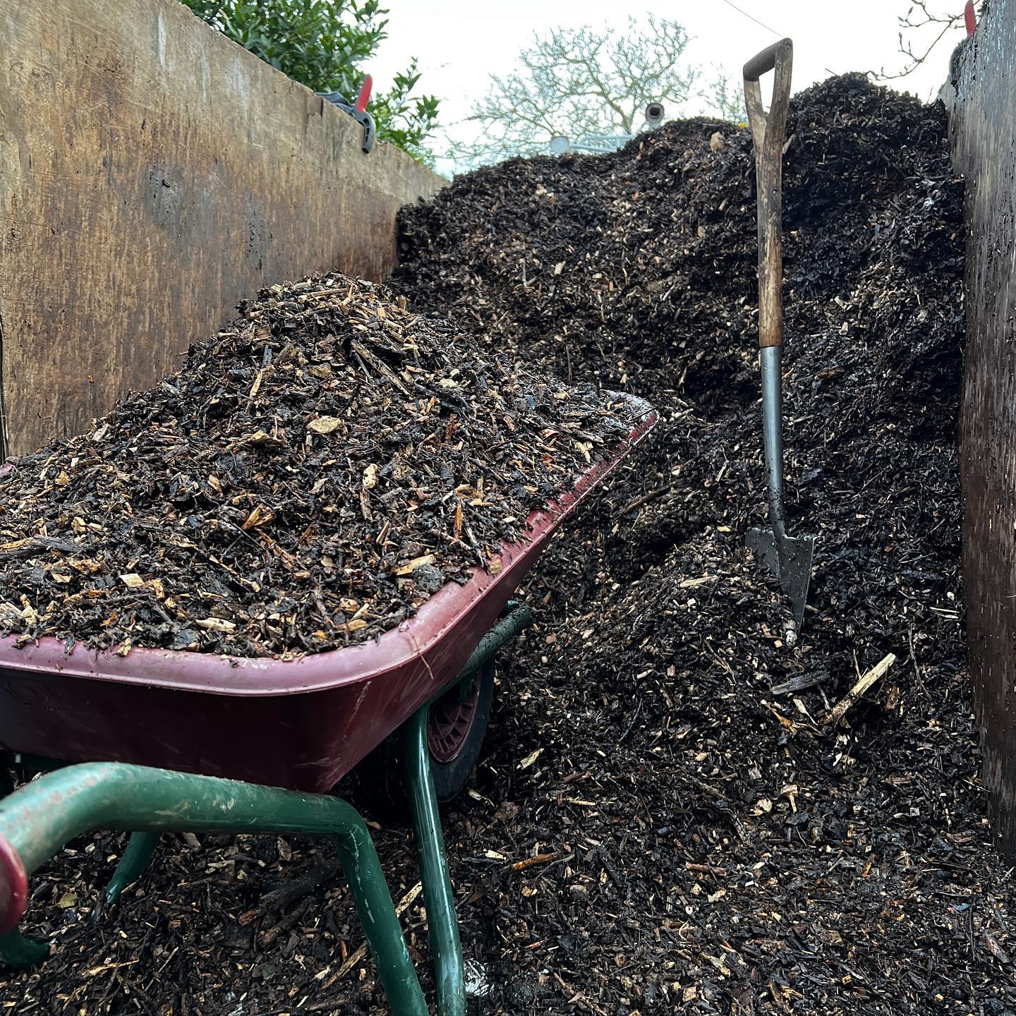 Mulching with composted wood chip and leaf mulch, a great organic cocktail to suppress weeds and improve soil composition.
#mulch
#compost
#soilfertility
#horticulture
#organicgardening
#gardendesign
#professionalgardener
#gardeninspiration