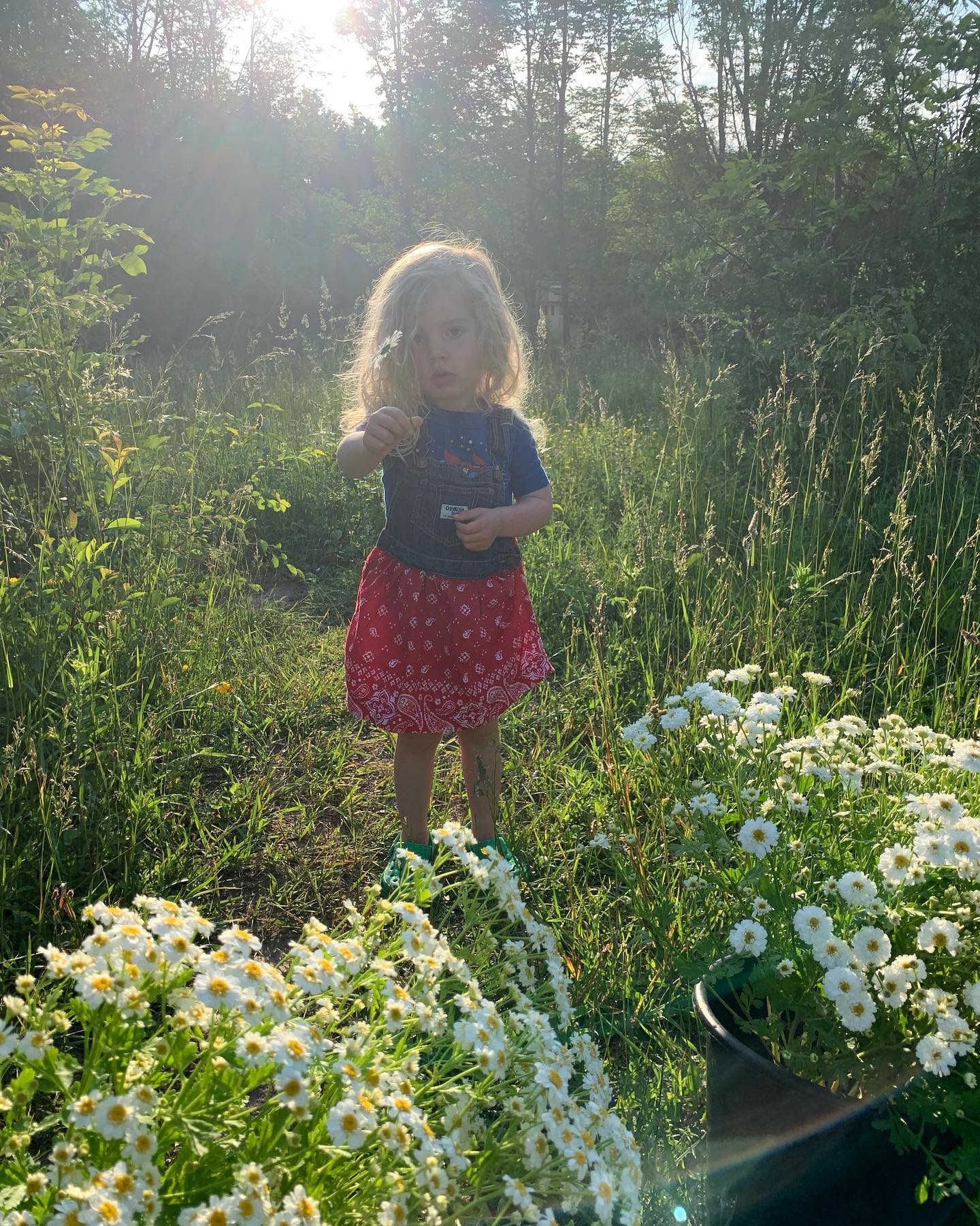 Winter is an offering from nature for restoration. I’ll take 2, please.