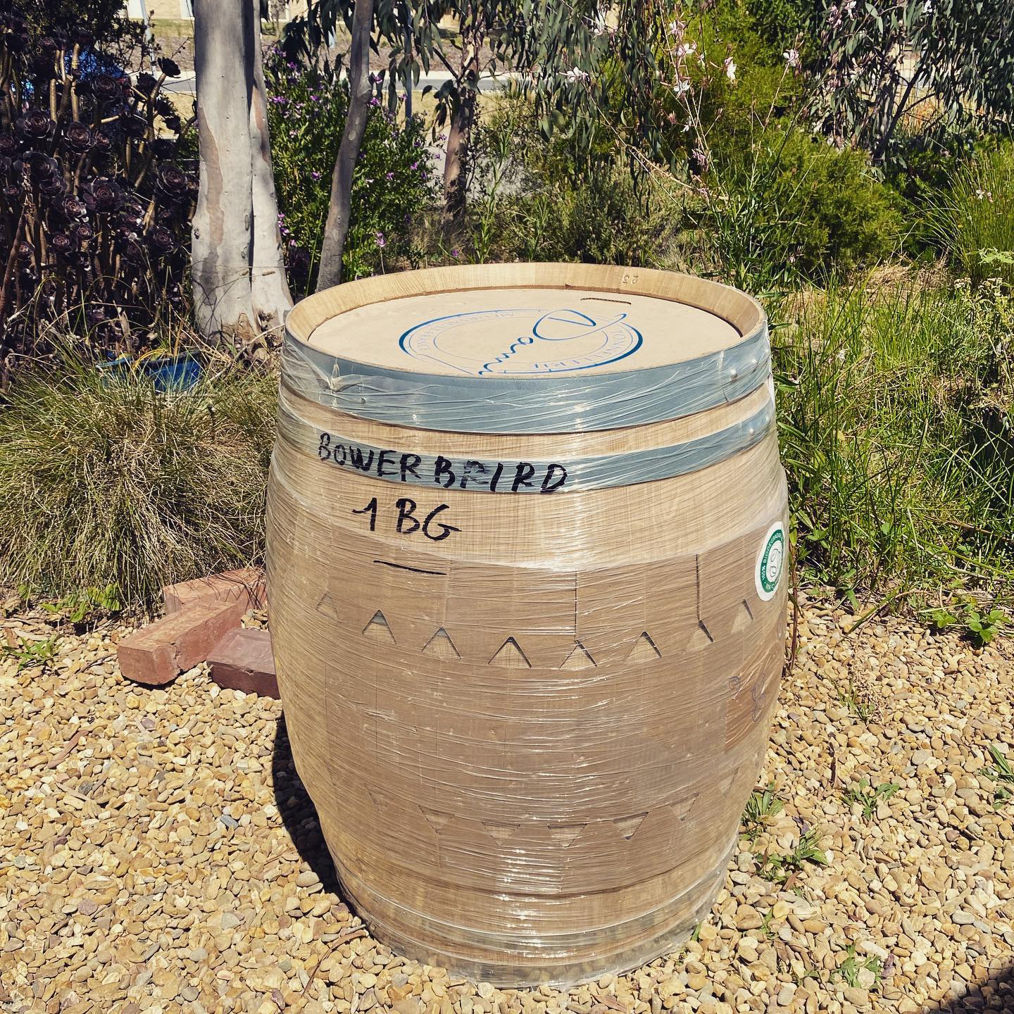 Welcome to the Bower little barrel! I only buy one new barrel a year for my Syrah and this is it. Vintage must be getting close. Thank you @bouchardcooperages_au @tonnelleriedamy I really love these Allier barrels. #frenchoak #v23 #smellsamazing #artisan #feelingfortunate #joy