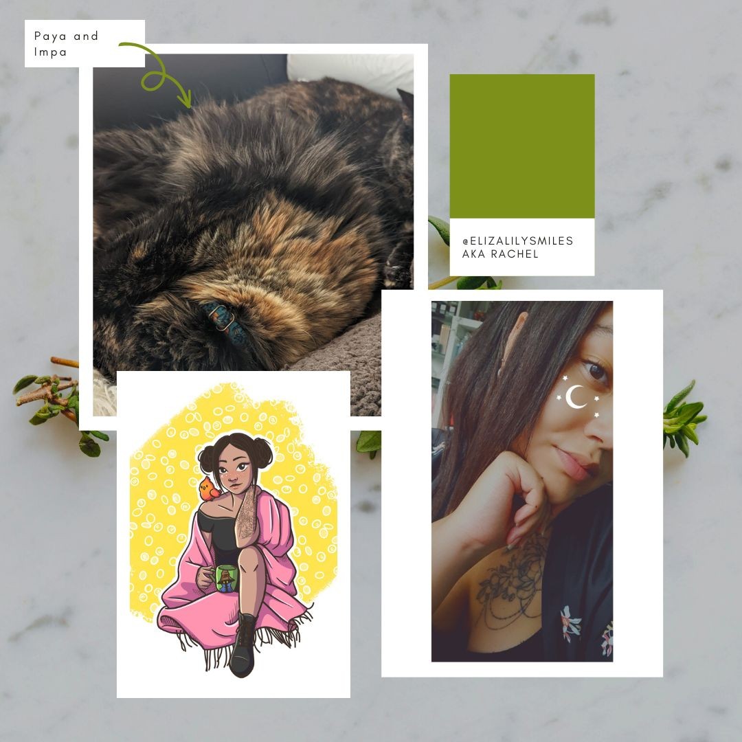 Hey Everyone!
Welcome to our cosy area of the internet. My name is Rachel, but better known as elizalilysmiles.
I'm a very awkward human who loves to craft, stream and read. I have an eclectic music taste and definitely an old woman. Also, I have cats.
I can be found, more often than not, streaming on twitch playing a variety of games - Hollow Knight is my fave by far. Or skulking about soundtracking my life to Lo-Fi.
Looking forward to posting some reviews and to new friends 🌿💛