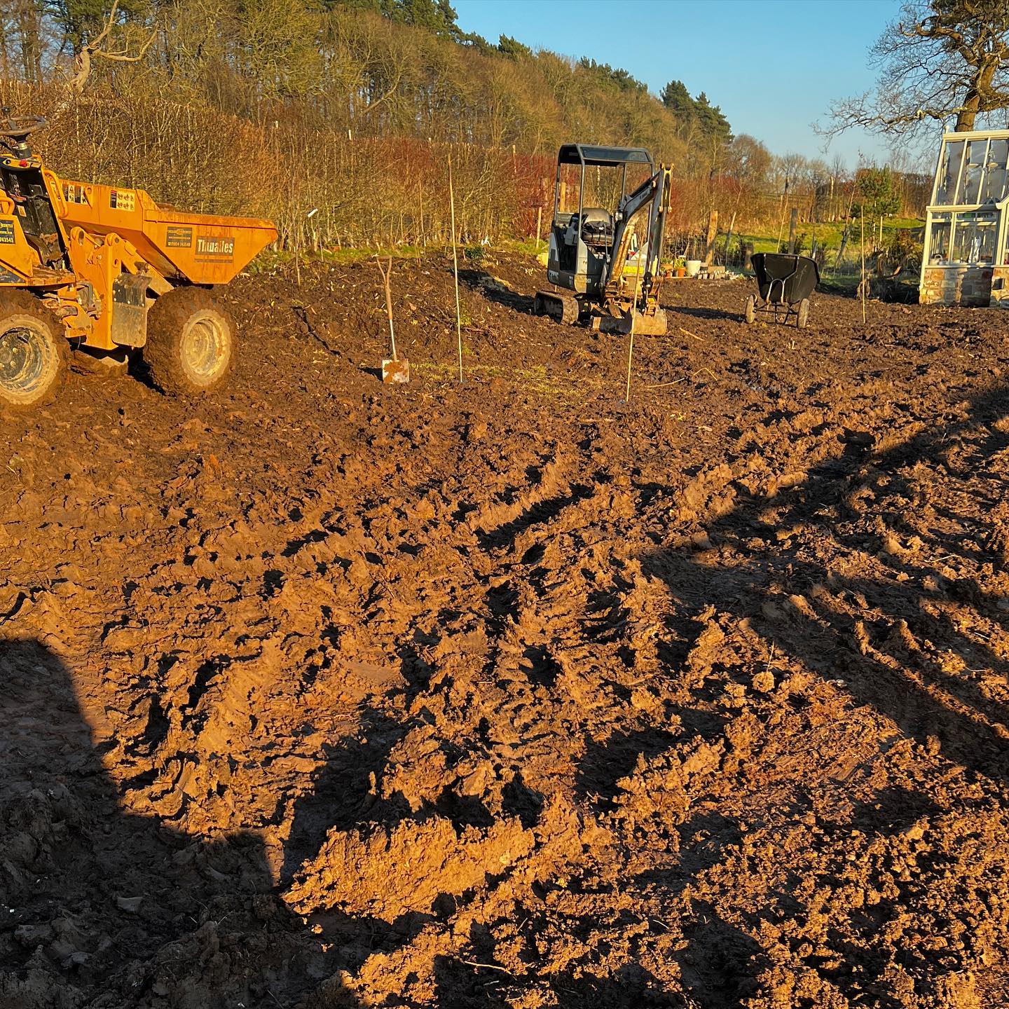 Start of a new garden project…we’ve got the basic layout in place with the machines ensuring the best soil and compost is positioned over the beds! Next step is grass paths and a lawn!! Early days but watch this space!!
#gardendesign
#landscapegardening #gardenproject
#gardeninspiration
#gardenmaintenance