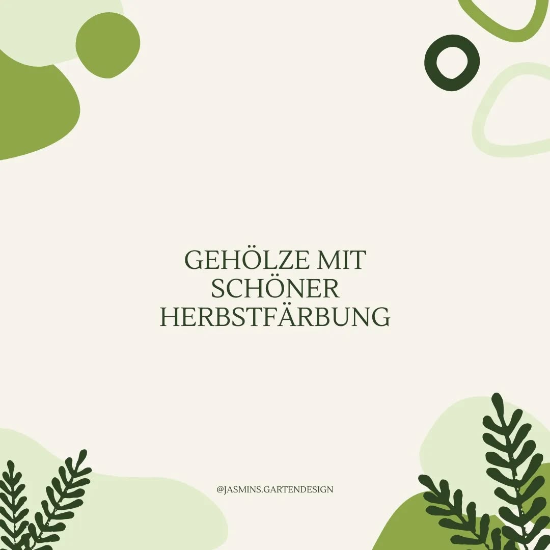 Fehlt dir der gewisse Farbtupfer im Garten? Besonders zur kalten Jahreszeit möchtest du einen schönen Garten haben? 🌳🍁
Dann habe ich heute eine Auswahl an schönen Gehölzen und Pflanzen mit knalligen Herbstfärbungen.
Bald beginnt wieder die Pflanzzeit. Wenn du also diesen Frühling loslegst, kannst du schon im Herbst erste Farbtupfer im Garten bewundern.
.
.
.
.
.
.
.
.
.
.
#Landschaftsarchitektur #landschaftsarchitektin #landscapedesign #Gartengestaltung #gardendesign #gardeninspo #garteninspo #gartenjournal #gartenkonzepte #naturnahergarten #pflanzkonzepte #pflanzideen #pflanzenliebe #grünoaseinderstadt #grünanlagen #grünerwohnen #grünimgarten #pflanzentipps #pflanzenwissen #pflanzenverwendung #herbstfarben #grünkonzepte #homeandgarden #Hausgartenplanung #hausbau2023 #hausundgarten #hausbau2022 #gehölzeimgarten #hausbaum