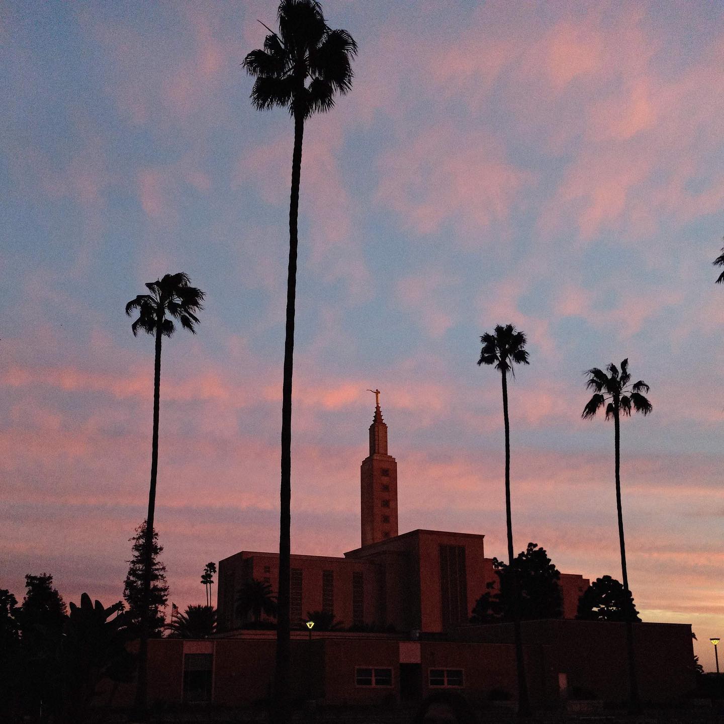 Today my heart is overflowing with a prayer of gratitude, just as it was one year ago today as I flew home from Los Angeles. I just had to say thank you for everything, the highs and the lows. Thank you for lifting my vision and helping me become more than I ever could on my own. Thank you for giving me the strength to do hard things. Thank you for teaching me how to change. Thank you for letting me participate in the miracle. Thank you for your loving kindness and tender mercies. Thank you for this one-on-one time with the Lord. Thank you for everyone I met in LA, whether they lived there or served there, I love them so much and my life is better because I know them. I love my mission. I love my life.