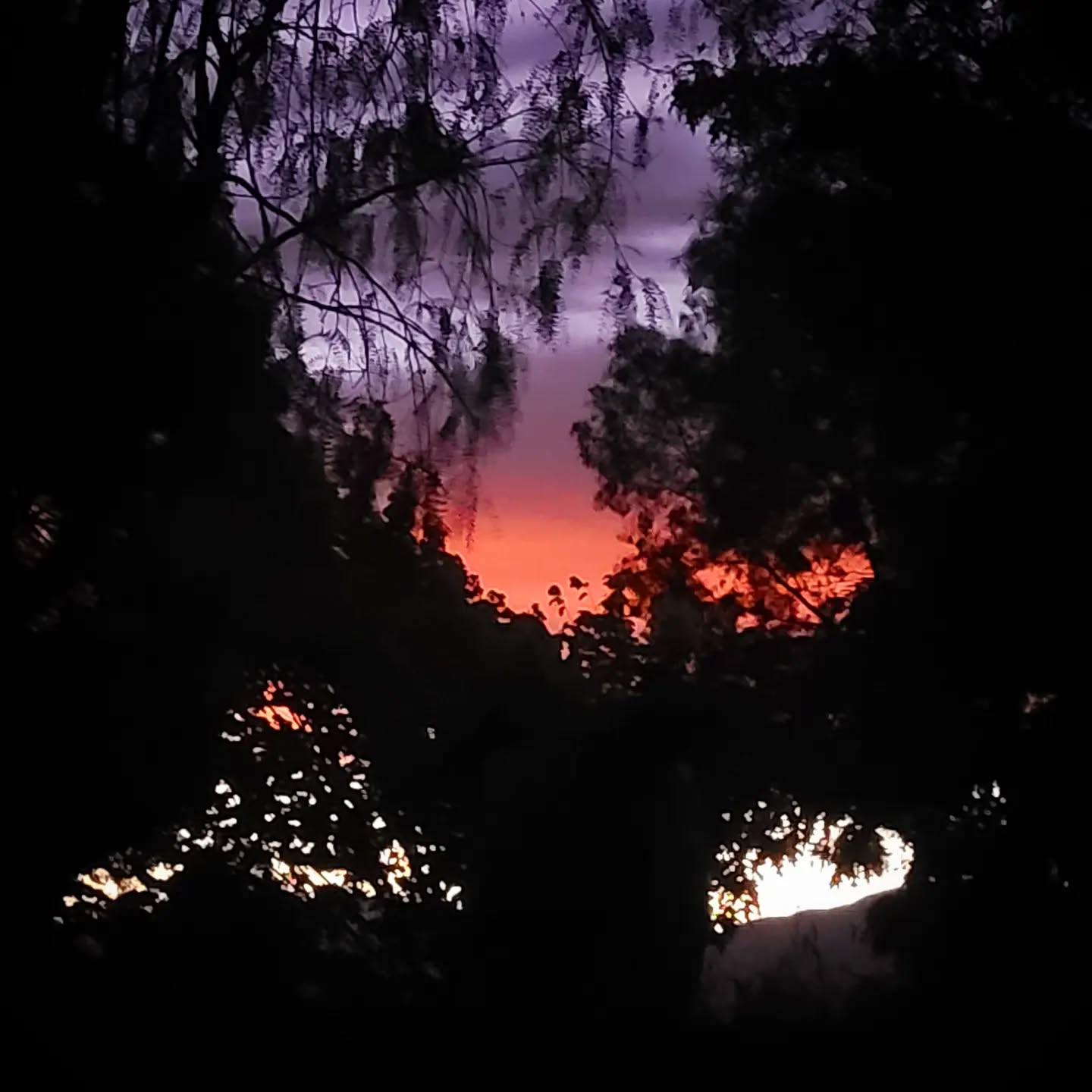 Red skies at night! You can just make out a western ridge of My Roy off in the distance in the lower right of the image.
...
@purenewzealand #newzealand #wanaka #lovewanaka @wanaka #mountainspirit #meditation #retreats #yinyoga #experientialeducation