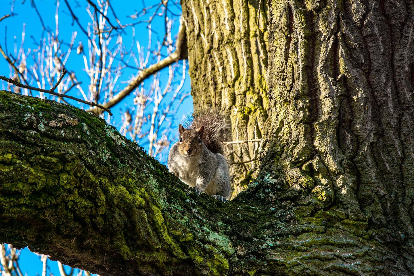 Wandsworth Park 06/02/23