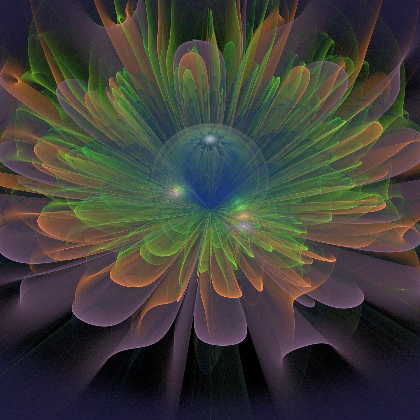 In the meeting with others do not see them with your predetermined mindset. Look at them as they was a beautiful flower and every petal representing an aspect of them as being. Turn that look inwards to yourself and observe the many beauty aspects you are created by.
#futuresofman