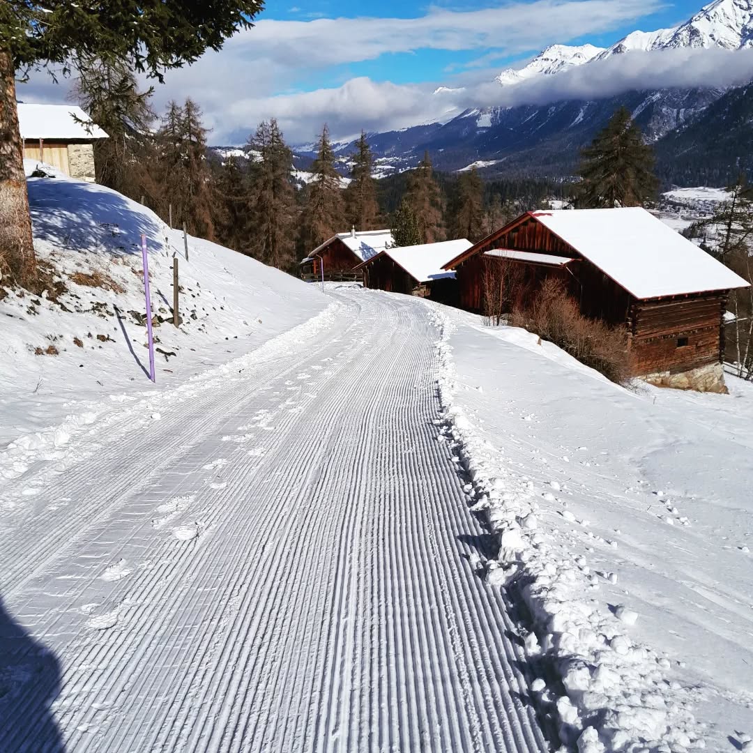 Wunderbare Schneeverhältnisse und Aussicht auf der Schlittelpiste in Stierva.
#uts #schlittelpiste #stierva #bargung #tiragn #ufelaufe #abefetze #böpplebiszumabwinke
#graubünden #bergdorf #wintervibes