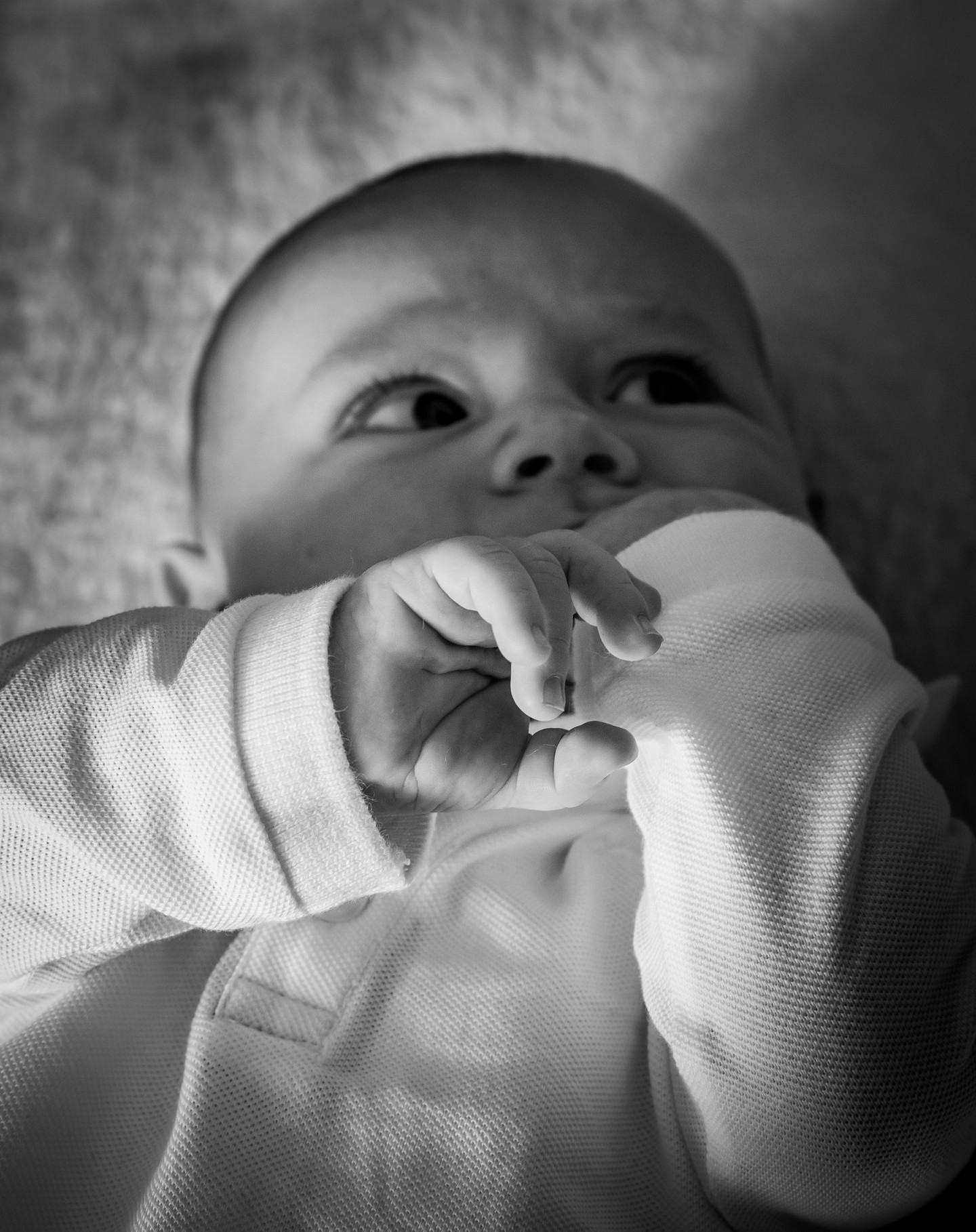 🖤 Les petites mains de Léonard 🖤 Ces détails que j'aime tant photographier lors des séances avec vos bout'chous 🤍
N'hésitez pas à ajouter ma séance Nouveau-Né à votre liste de naissance! 🥰
Séance cocooning à la maison 🤍 ou dans la douceur d'un jardin, tout est possible ! 🌾
Reportage complet du shooting 🖤 :
https://emmanoam.com/histoires-de-vie
#photography #photographe #photographer #photographelyon #baby #bebe #photographenaissancelyon #shootinggrossesse #shootingbebe #photographenaissance #photographefamille #photographefamillelyon #seancephotobebe #seancephoto #portrait #mains #details #nikon #bnw #bnwphotography #lyon #famille #love #parents #emmanoam #igerslyon #onephotoaday